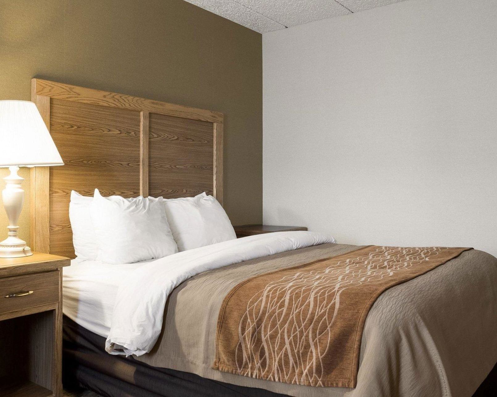 Hypo-allergenic bedding, desk, blackout curtains, iron/ironing board
