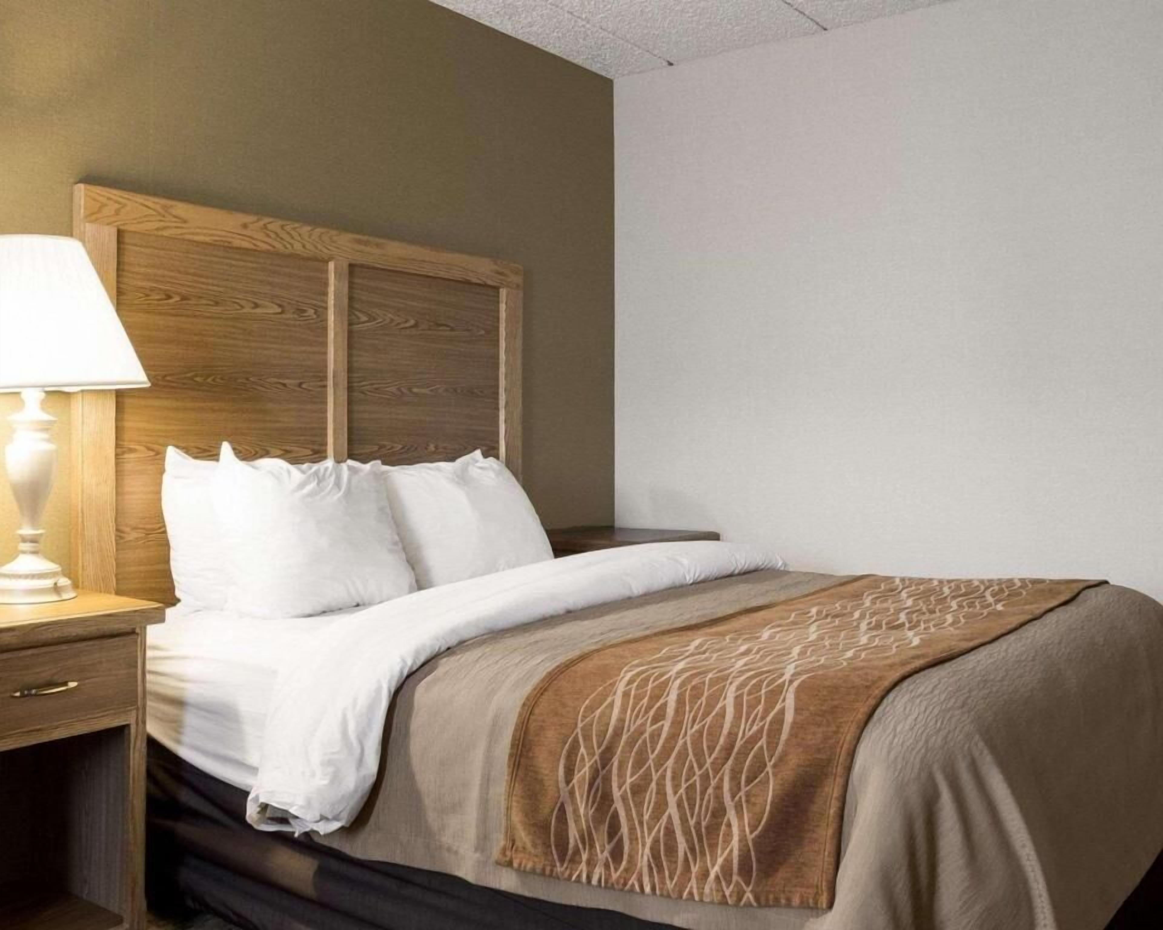 Hypo-allergenic bedding, desk, blackout curtains, iron/ironing board