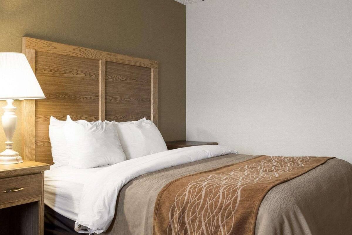 A neatly made bed with white linens and a brown patterned throw, a wooden headboard, and a bedside table with a lamp.