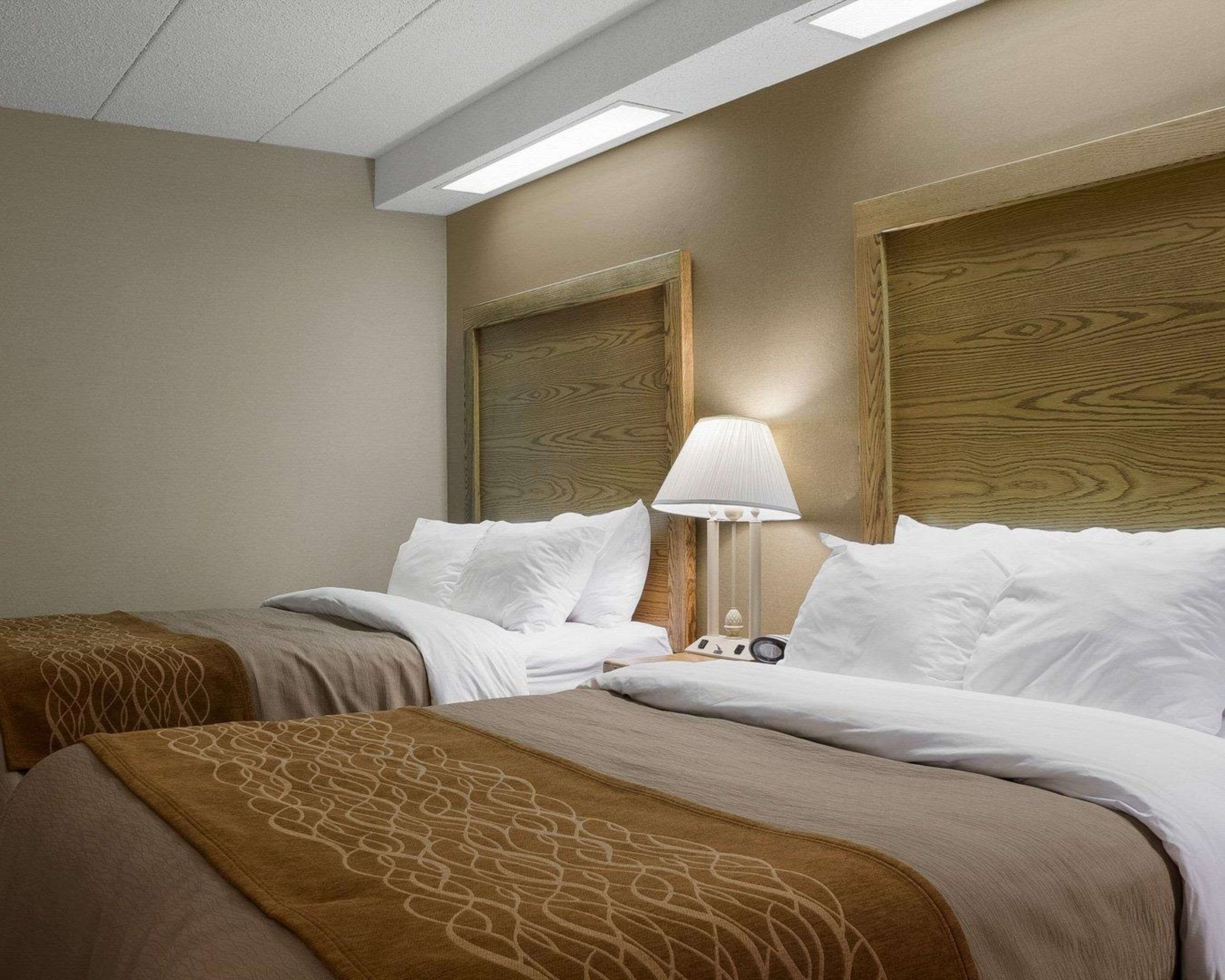 A hotel room with two beds, a nightstand, a lamp, and a headboard with a wood-like design.