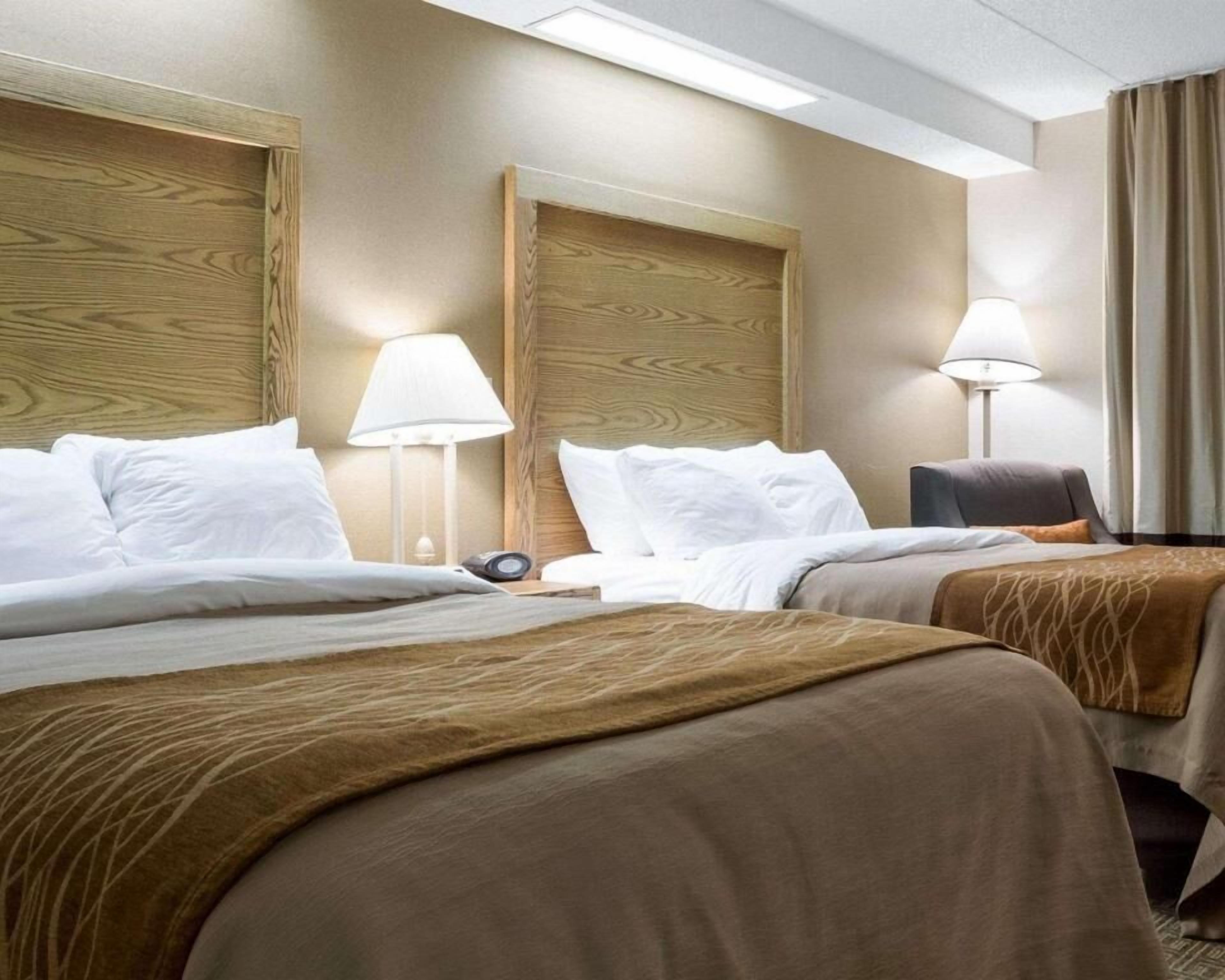 Hypo-allergenic bedding, desk, blackout curtains, iron/ironing board