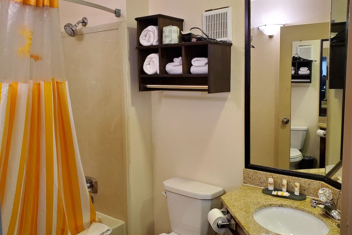 combined shower/bathtub, free toiletries, hair dryer, towels