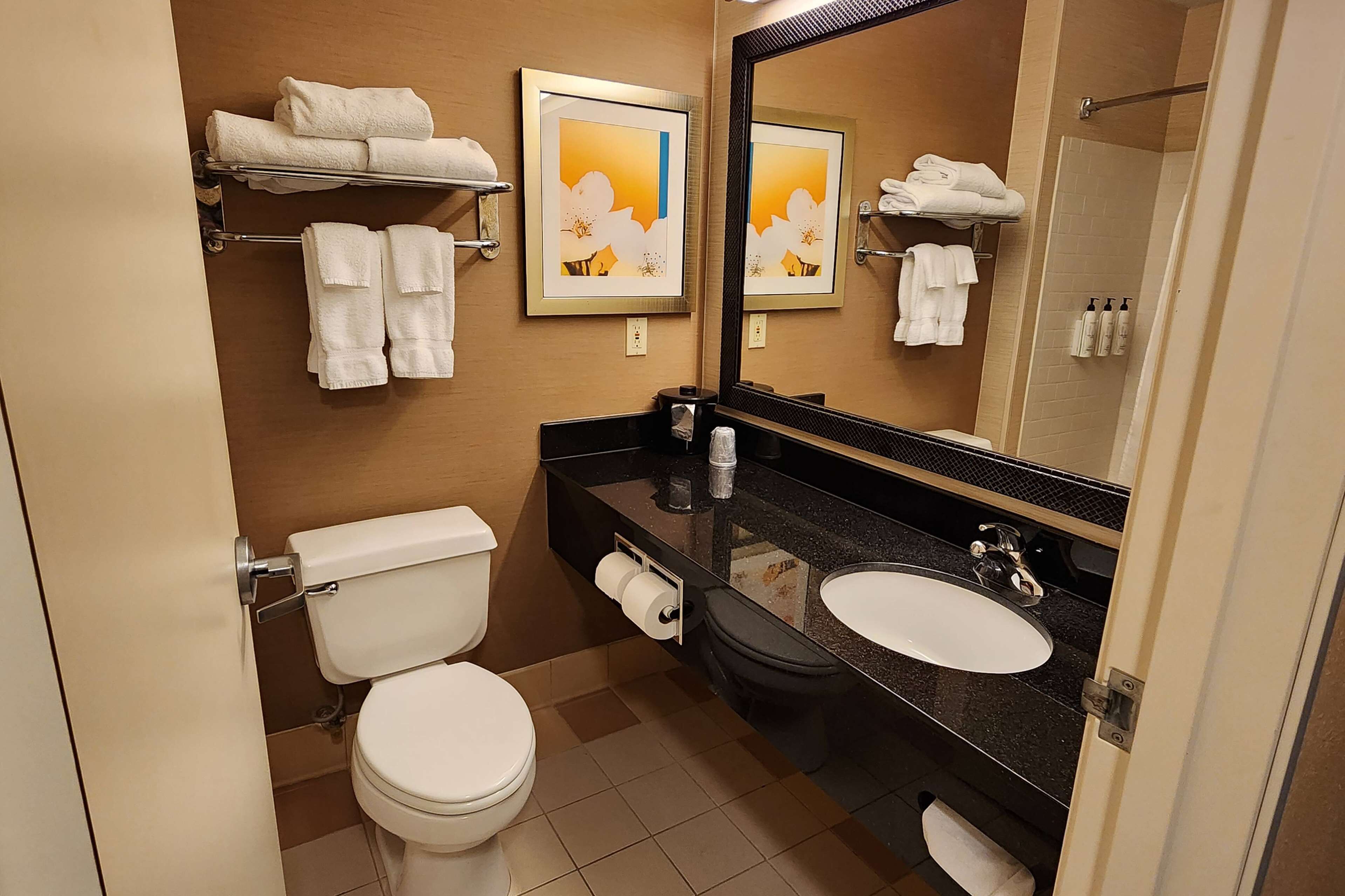 free toiletries, hair dryer, towels, soap