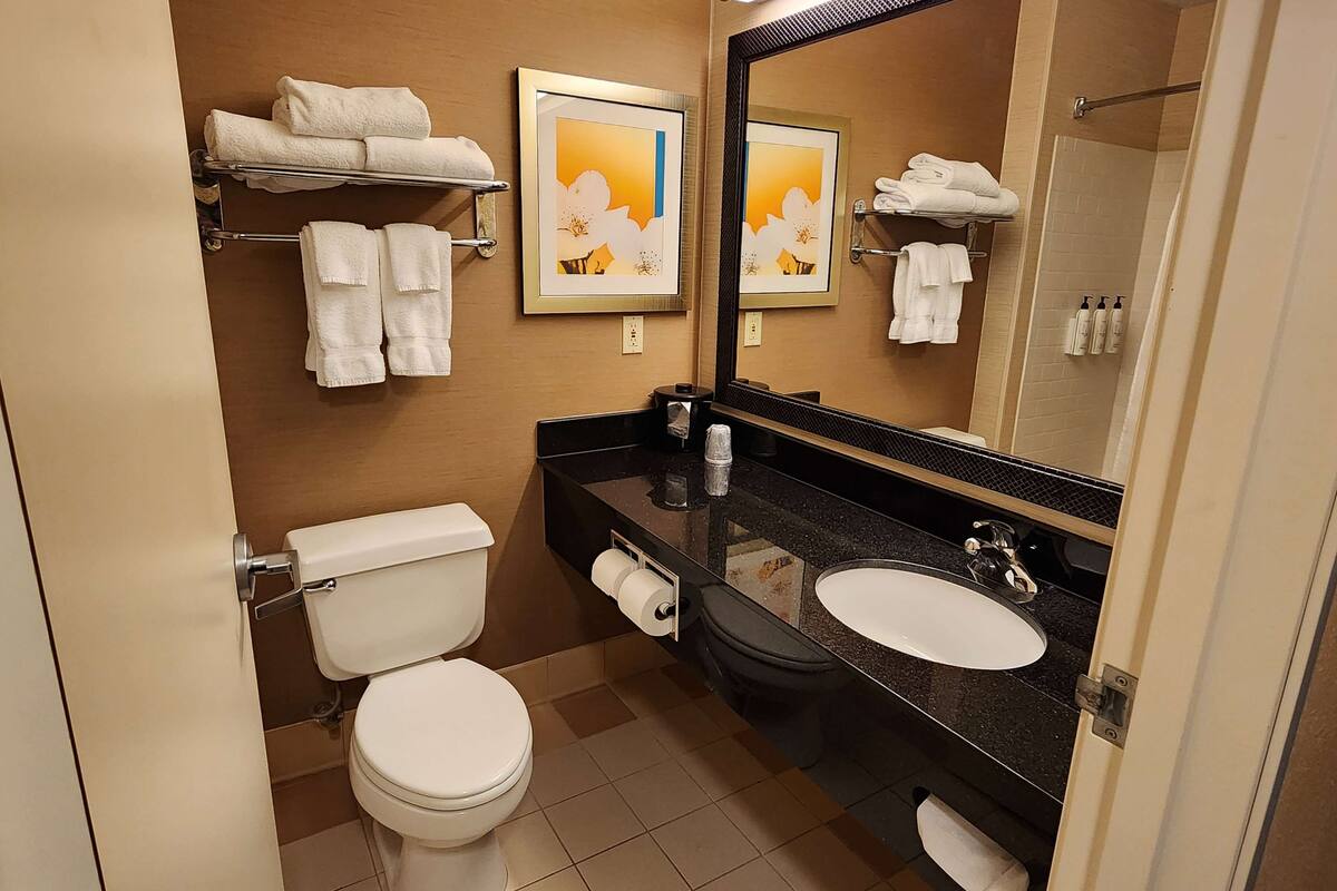 free toiletries, hair dryer, towels, soap