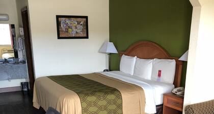 Econo Lodge & Suites Brinkley