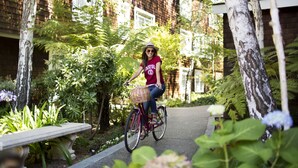 Une personne à vélo, avec un panier fixé au vélo, circule sur un chemin bordé de verdure, à proximité d’un bâtiment en briques.