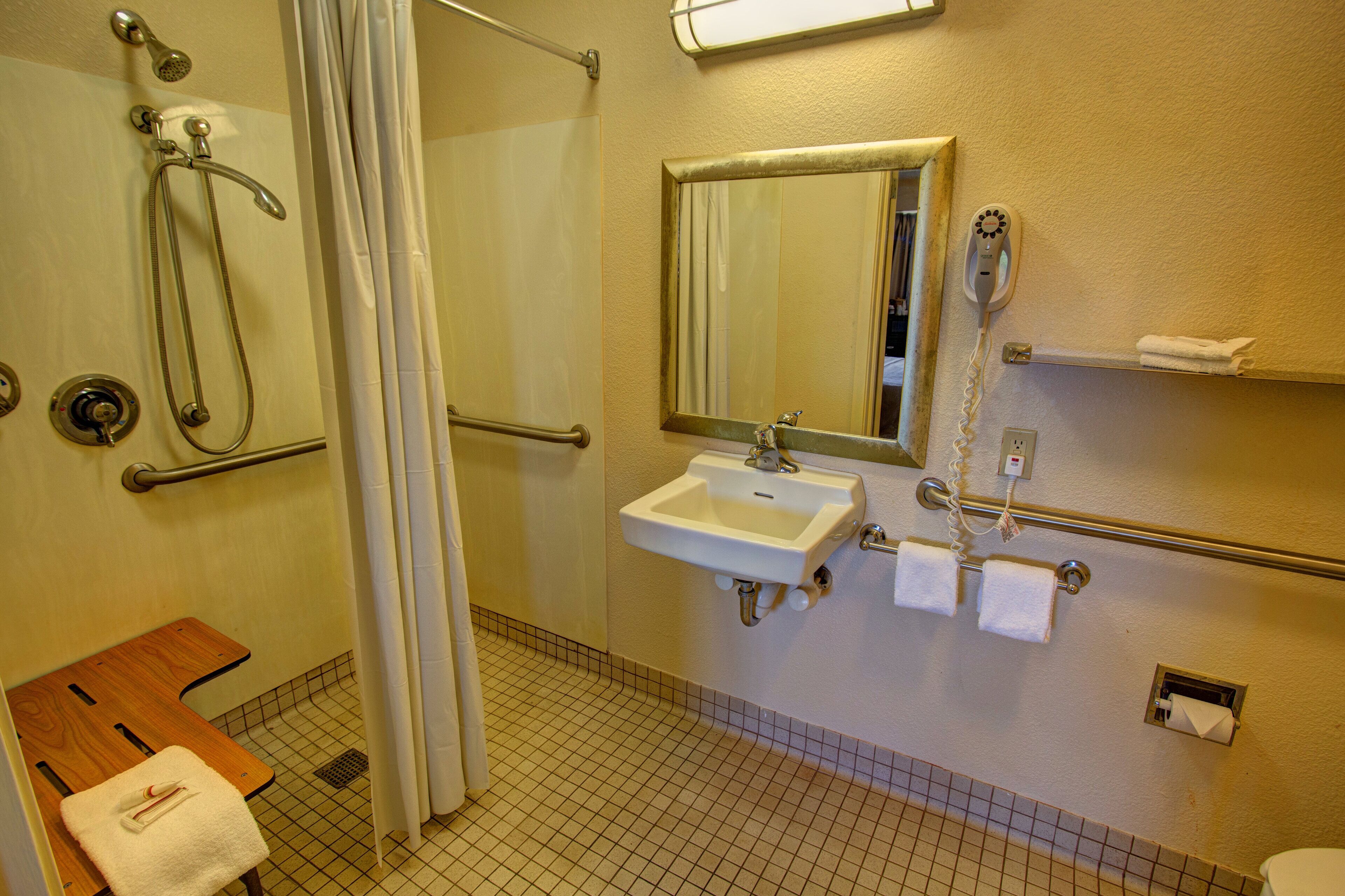 superior room, 1 king bed, accessible (roll-in shower, smoke free) | bathroom | free toiletries, towels, soap, shampoo
