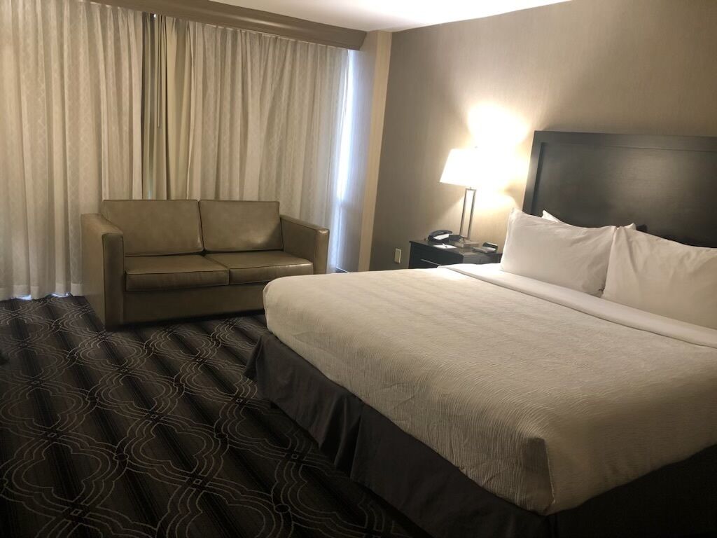 standard room, 1 king bed with sofa bed | hypo-allergenic bedding, in-room safe, desk, blackout curtains