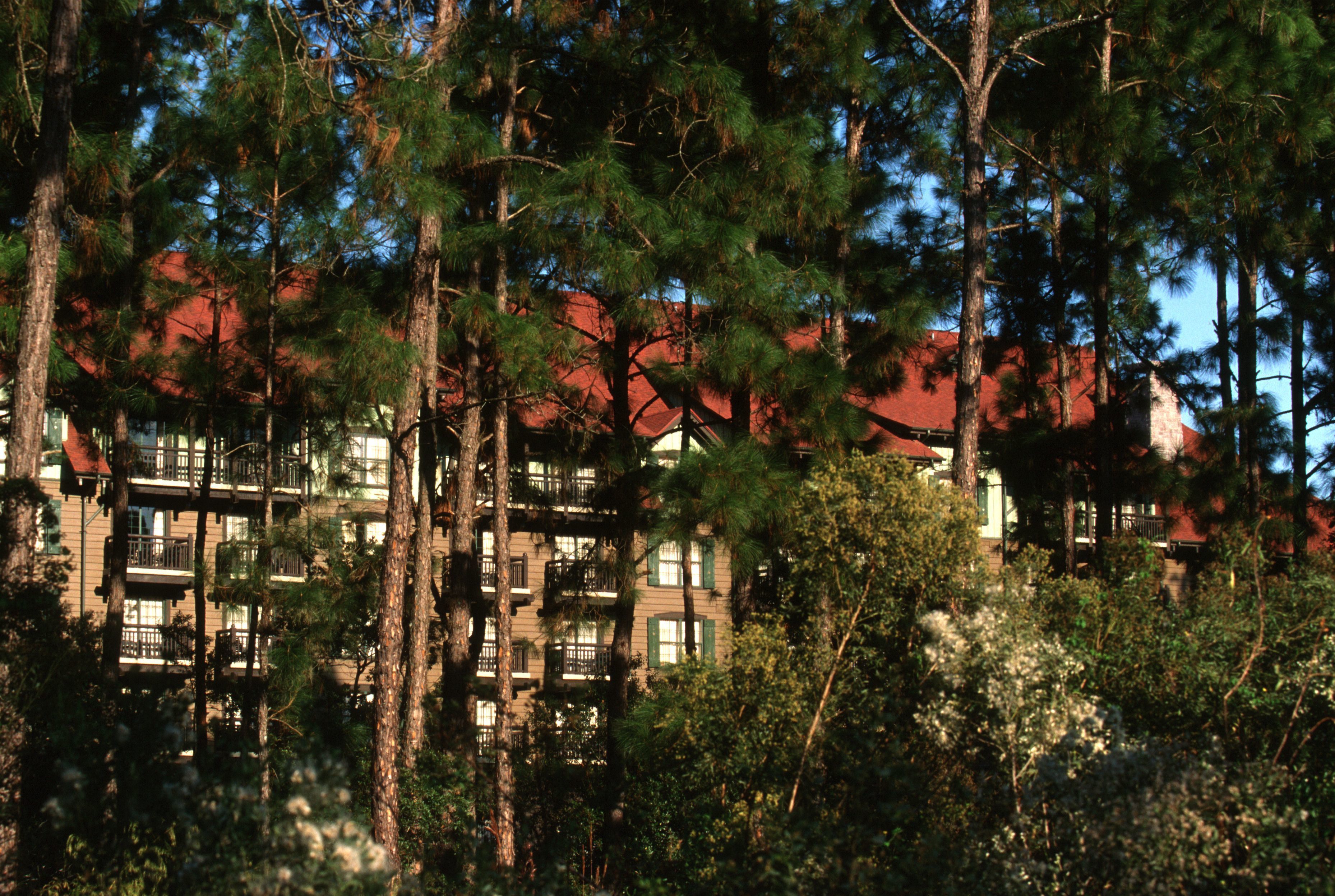 A multi-story building with balconies, surrounded by dense trees.