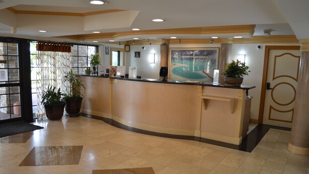 A hotel reception area with a curved reception desk, potted plants, and a large window with a view. - Americas Best Value Inn Ft. Myers (Fort Myers)