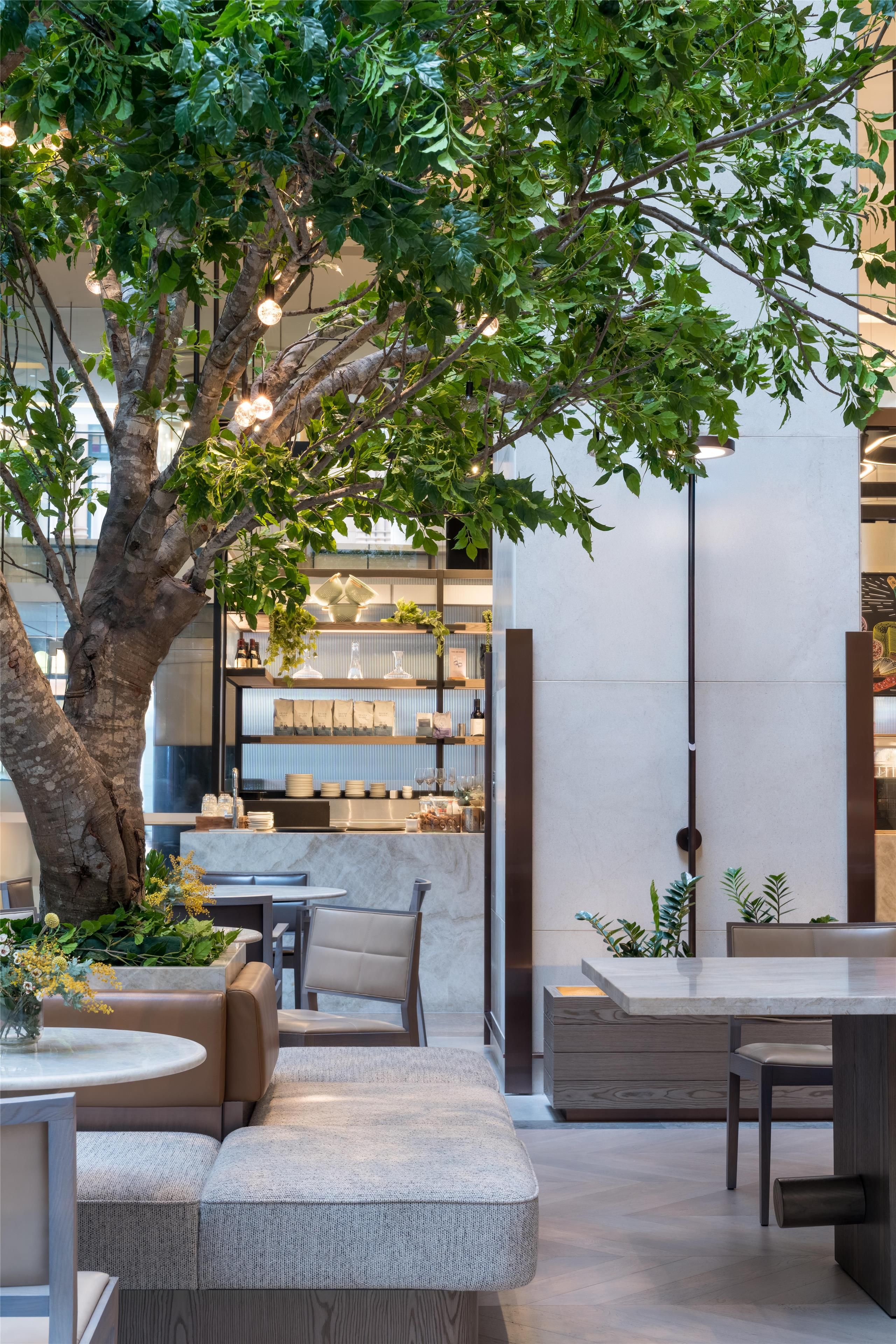 A modern indoor seating area with a tree, bookshelves, and a bar.