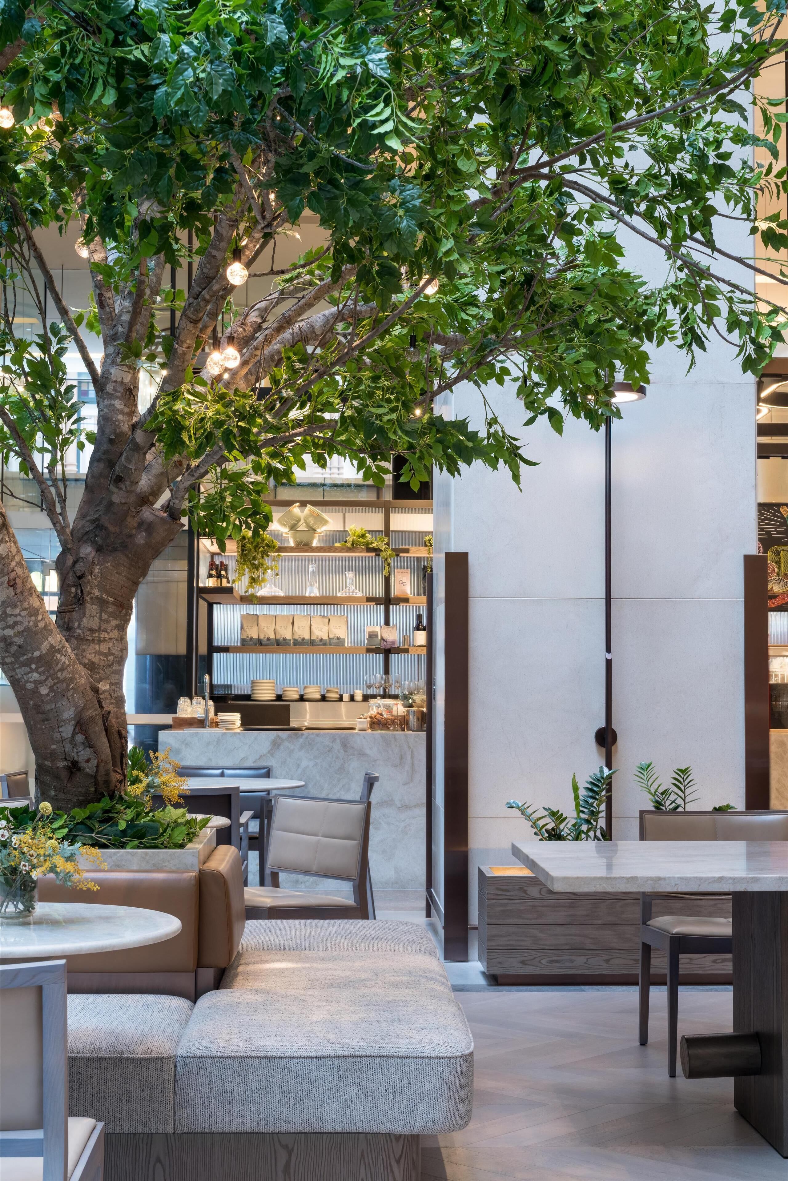 Photo - Hilton Sydney