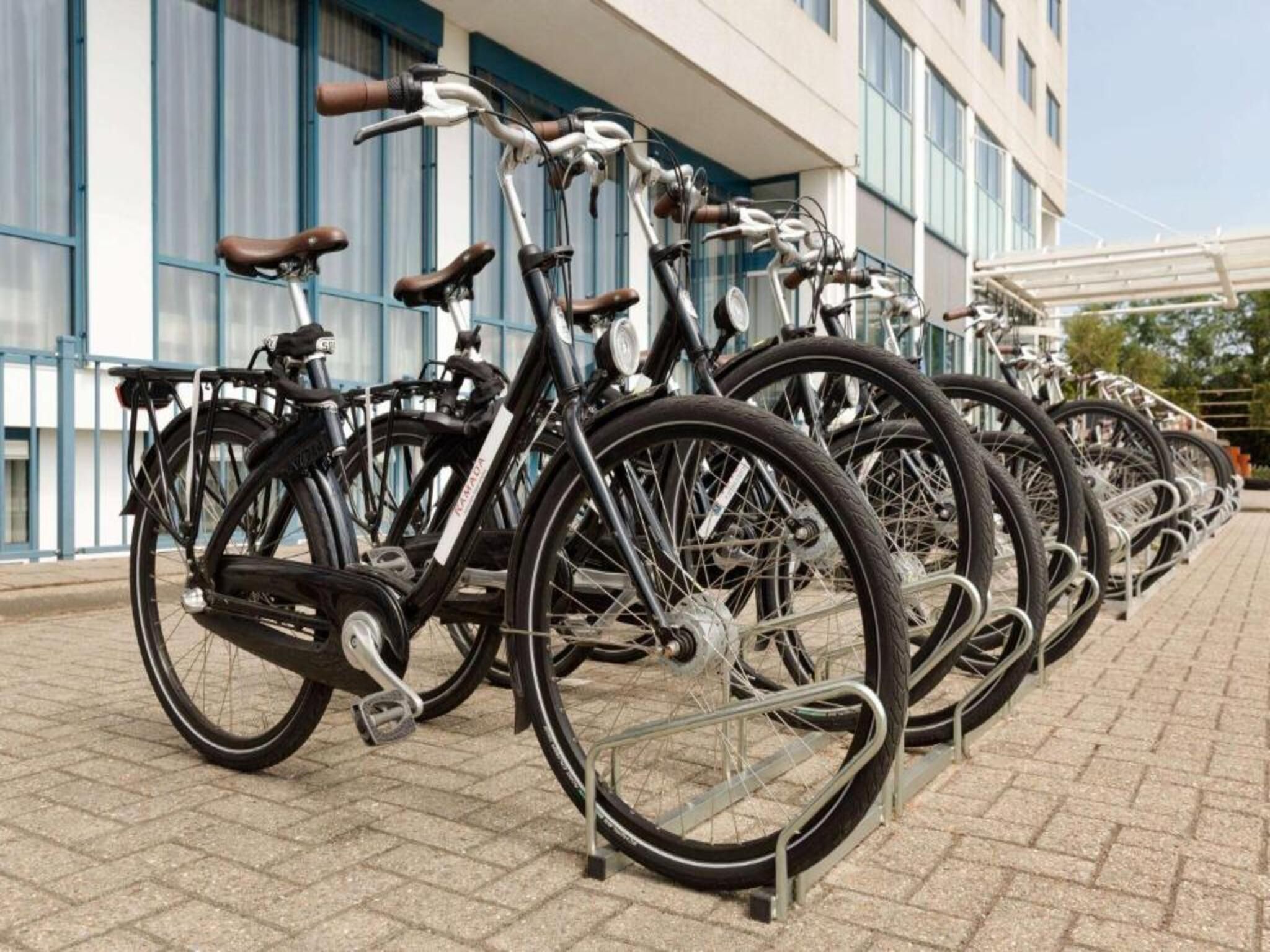 A row of bicycles parked in front of a building with large windows.