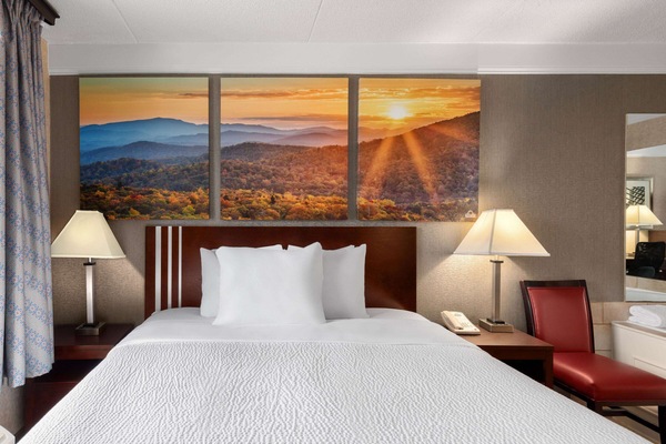 Premier Room, 1 King Bed, Non Smoking | Jetted tub