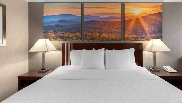 Habitación de hotel con una cama grande, dos lámparas de noche, una mesita de noche y un cuadro colgado en la pared que representa un paisaje.