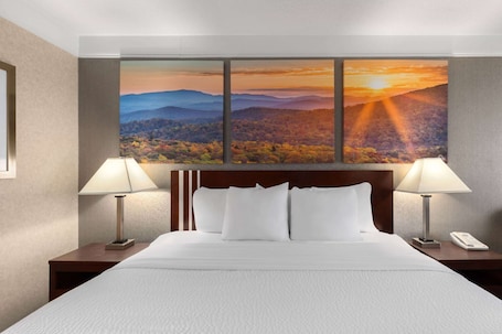 Desk, blackout drapes, iron/ironing board, free cribs/infant beds. Days Inn by Wyndham Columbia Kentucky