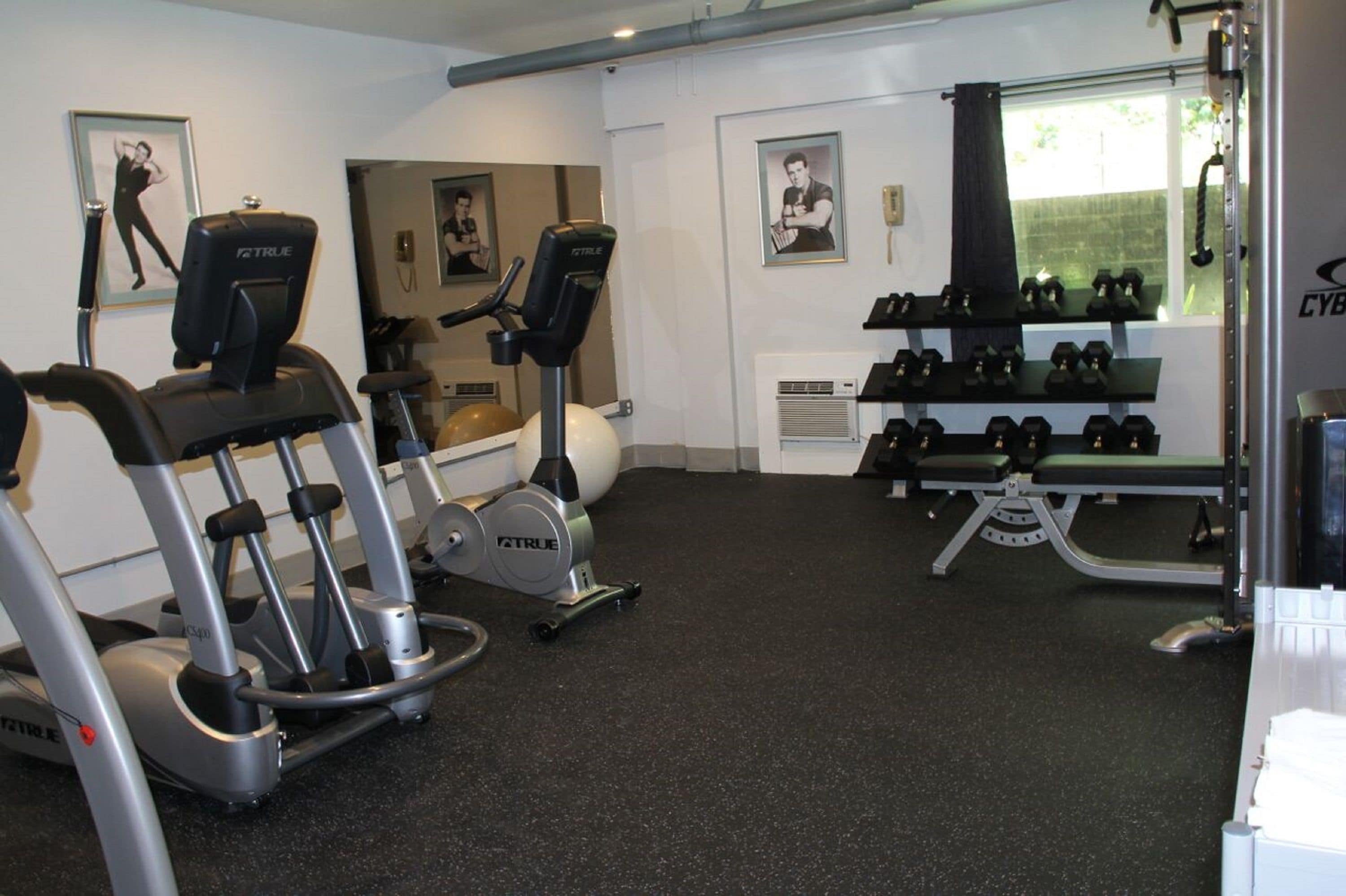 Un gimnasio con máquinas de cardio, mancuernas y pelotas de ejercicio.