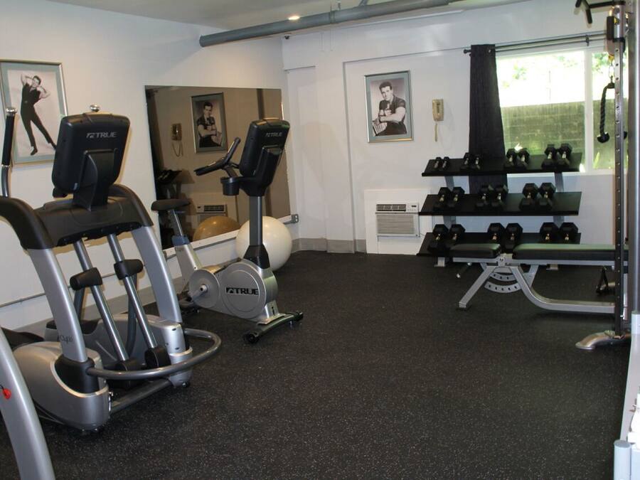 Un gimnasio con máquinas de cardio, mancuernas y pelotas de ejercicio.
