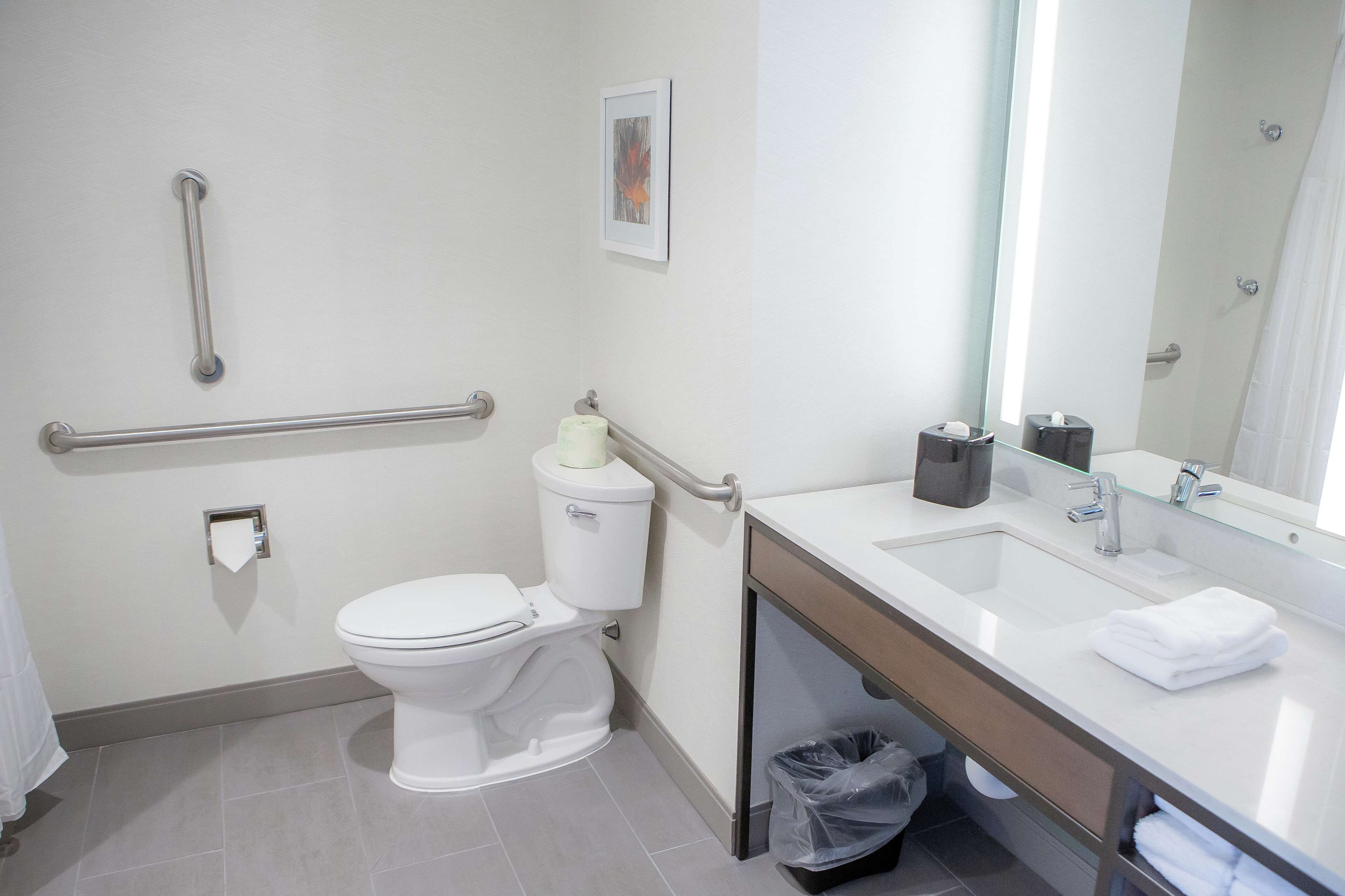 room, 2 queen beds, accessible (roll-in shower) | bathroom | free toiletries, hair dryer, towels