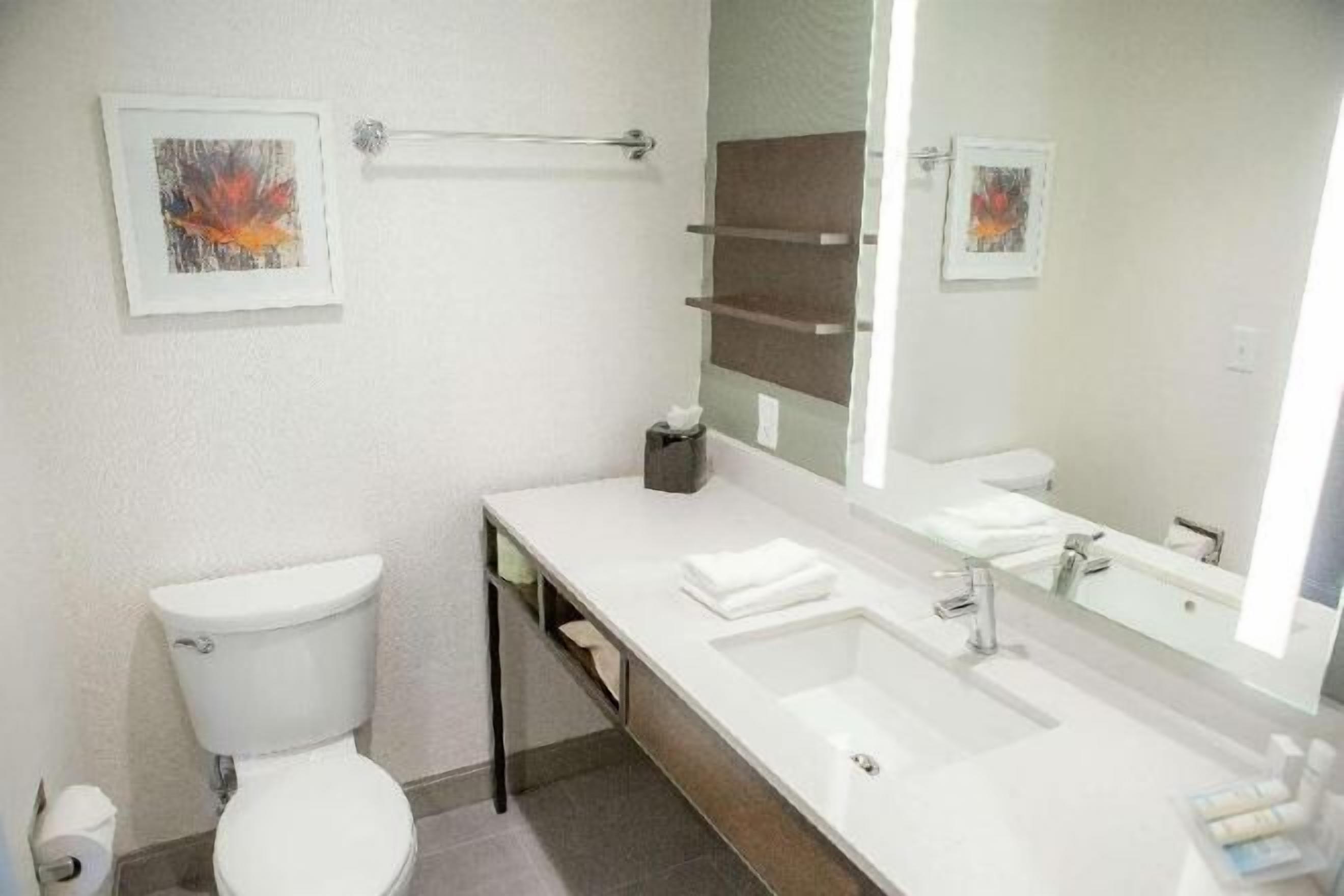 Badezimmer | Kostenlose Toilettenartikel, Haartrockner, Handtücher