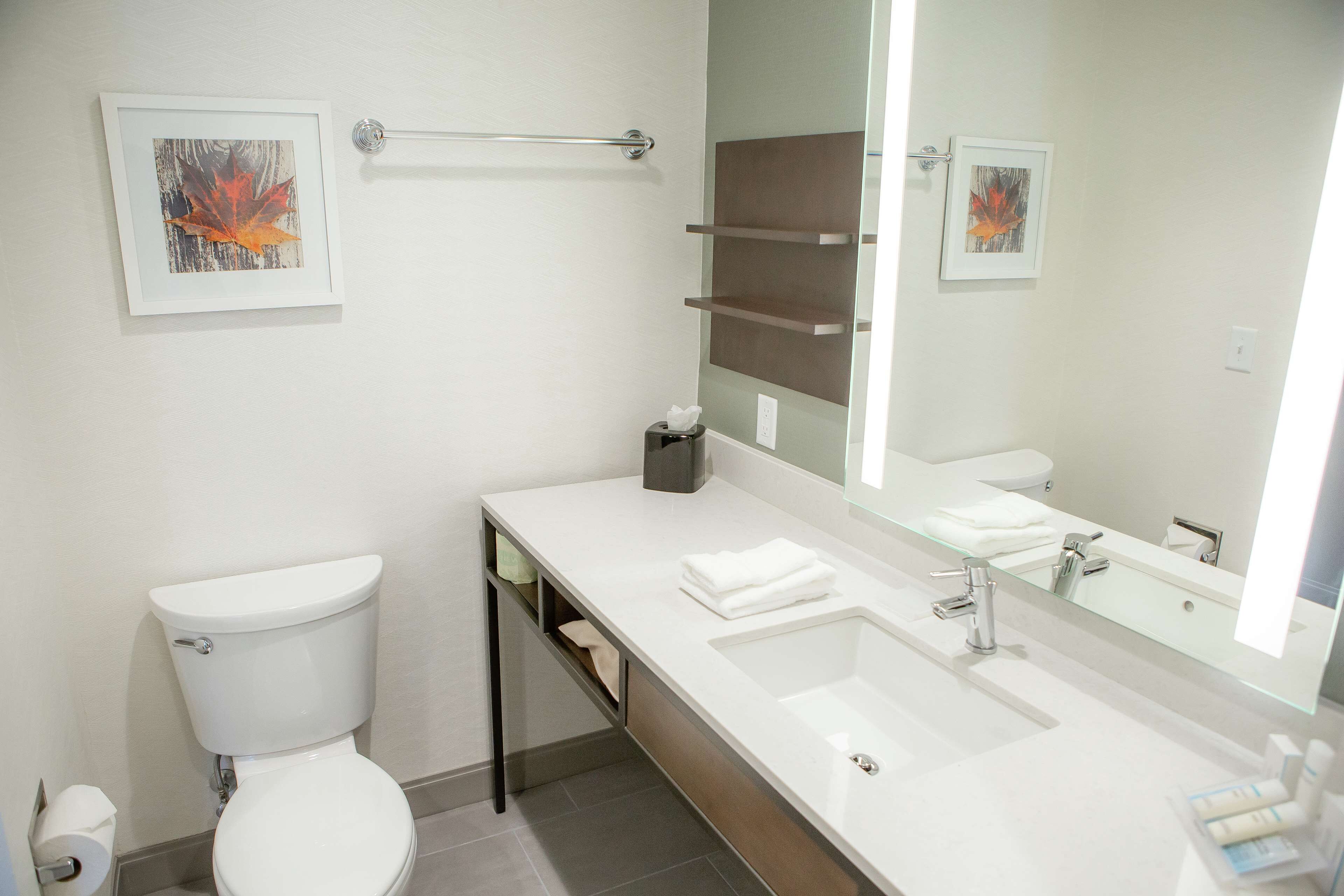 free toiletries, hair dryer, towels