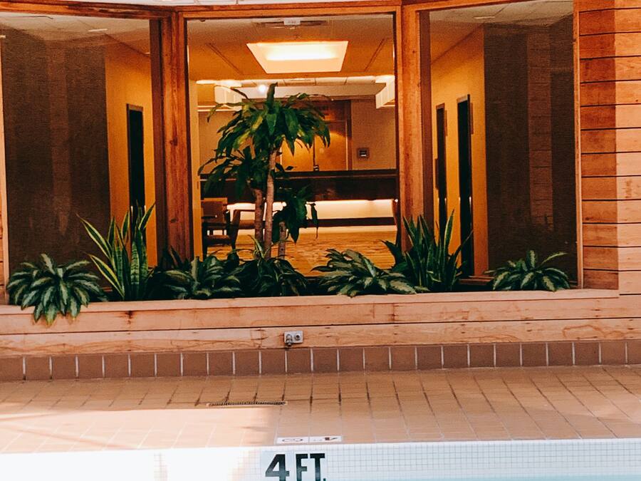 A wooden building with a pool, a palm tree, and a sign indicating the pool's depth.