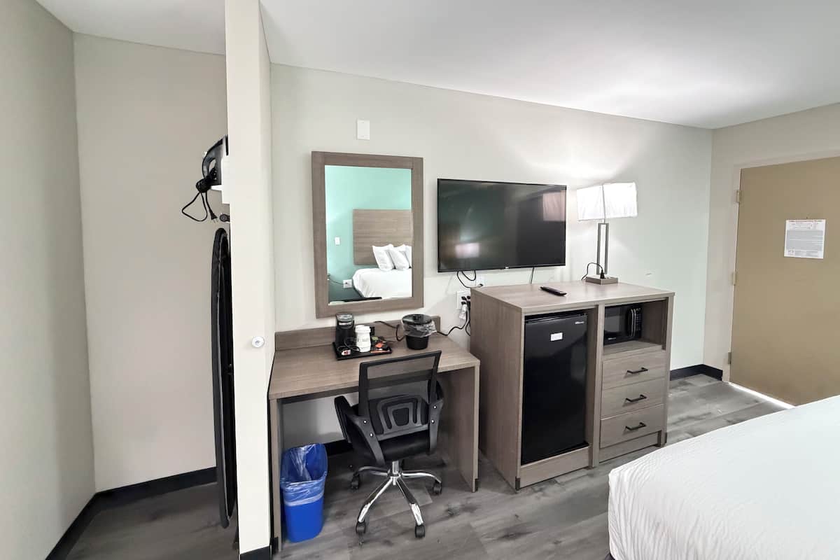 Room, 1 King Bed, Accessible, Non Smoking (Roll-In Shower)