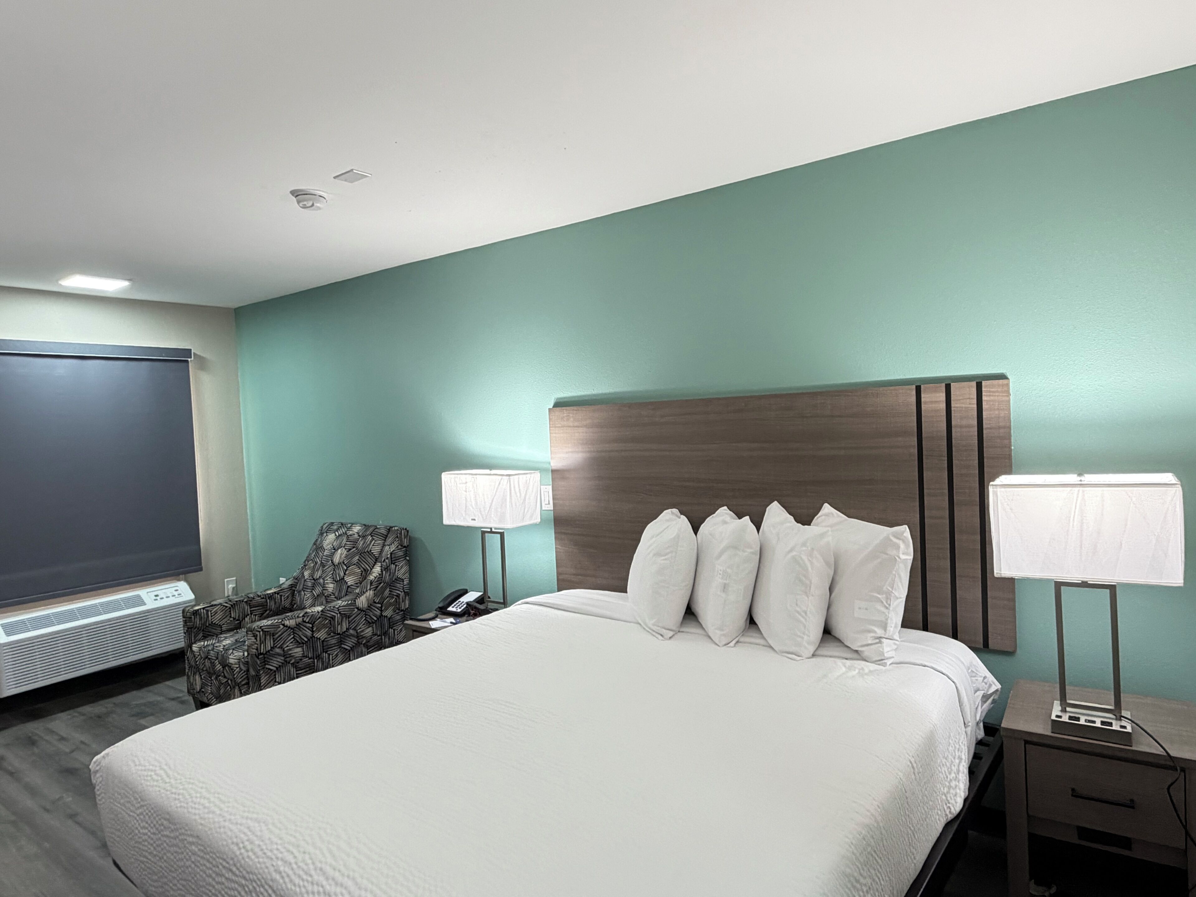 Room, 1 King Bed, Non Smoking