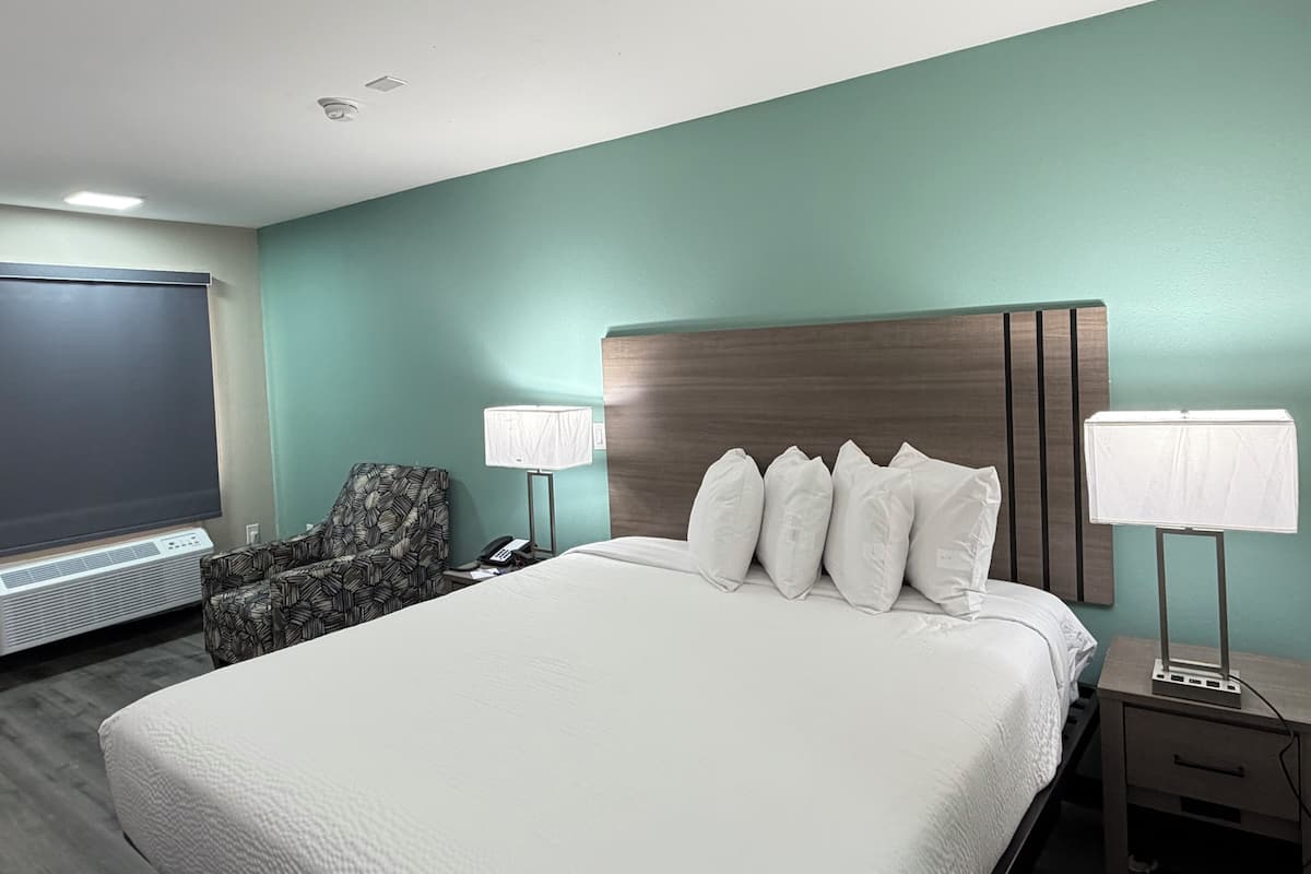 Room, 1 King Bed, Non Smoking