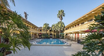 Una piscina al aire libre, sombrillas, sillones reclinables de piscina