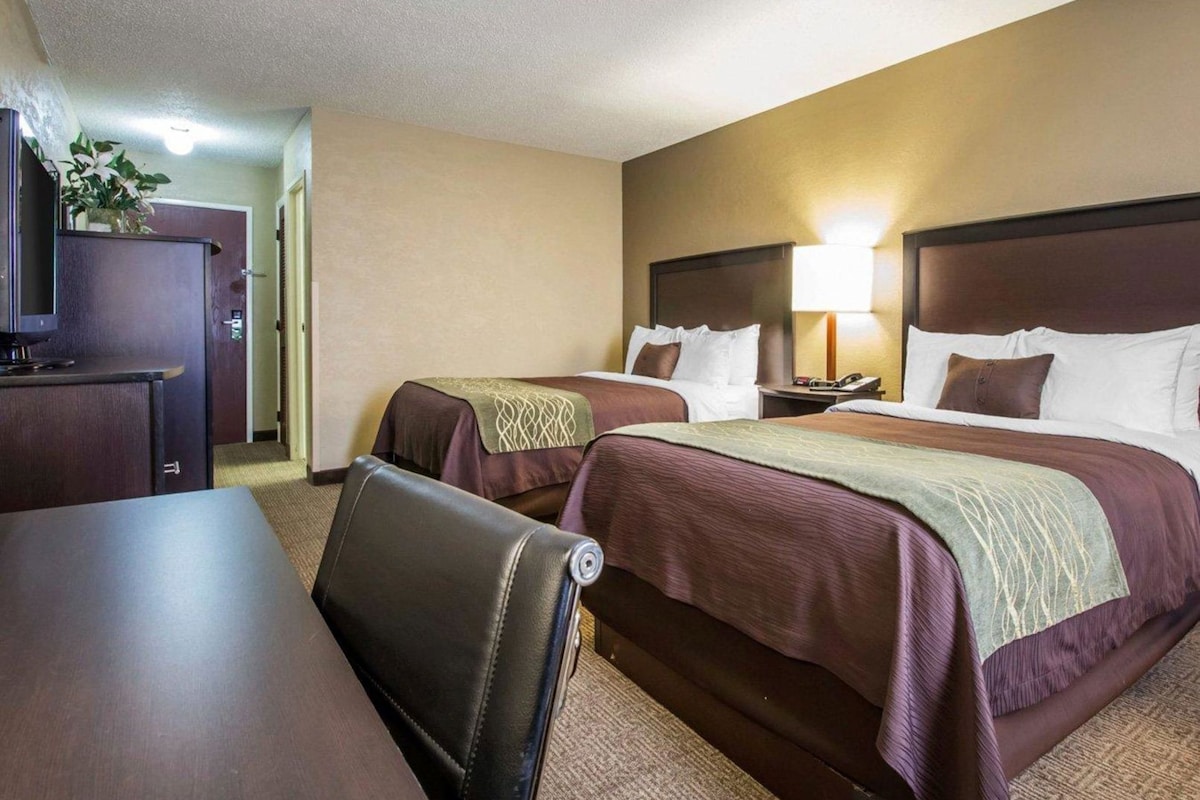 A hotel room with two beds, a desk, a chair, a TV, and a lamp.
