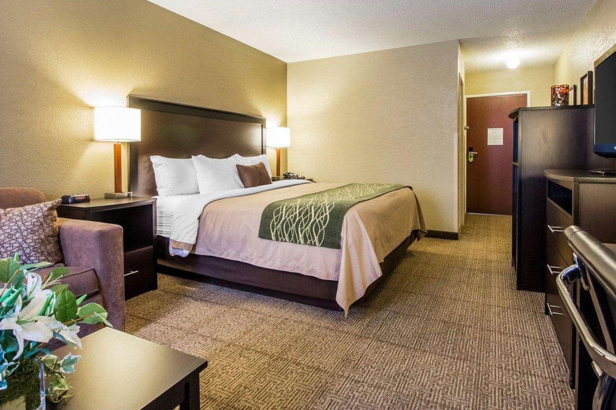 A hotel room with a bed, a desk, a chair, a television, and a door.