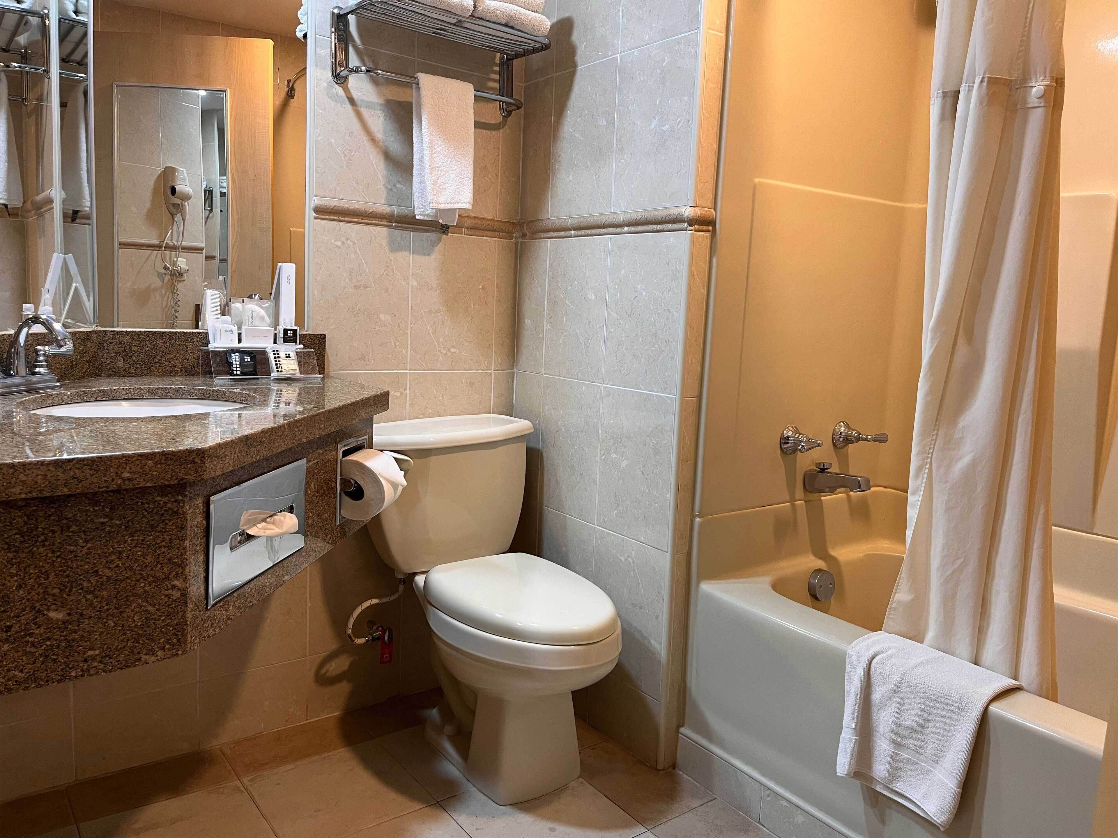 executive single room, 1 king bed | bathroom | shower, rainfall showerhead, free toiletries, hair dryer
