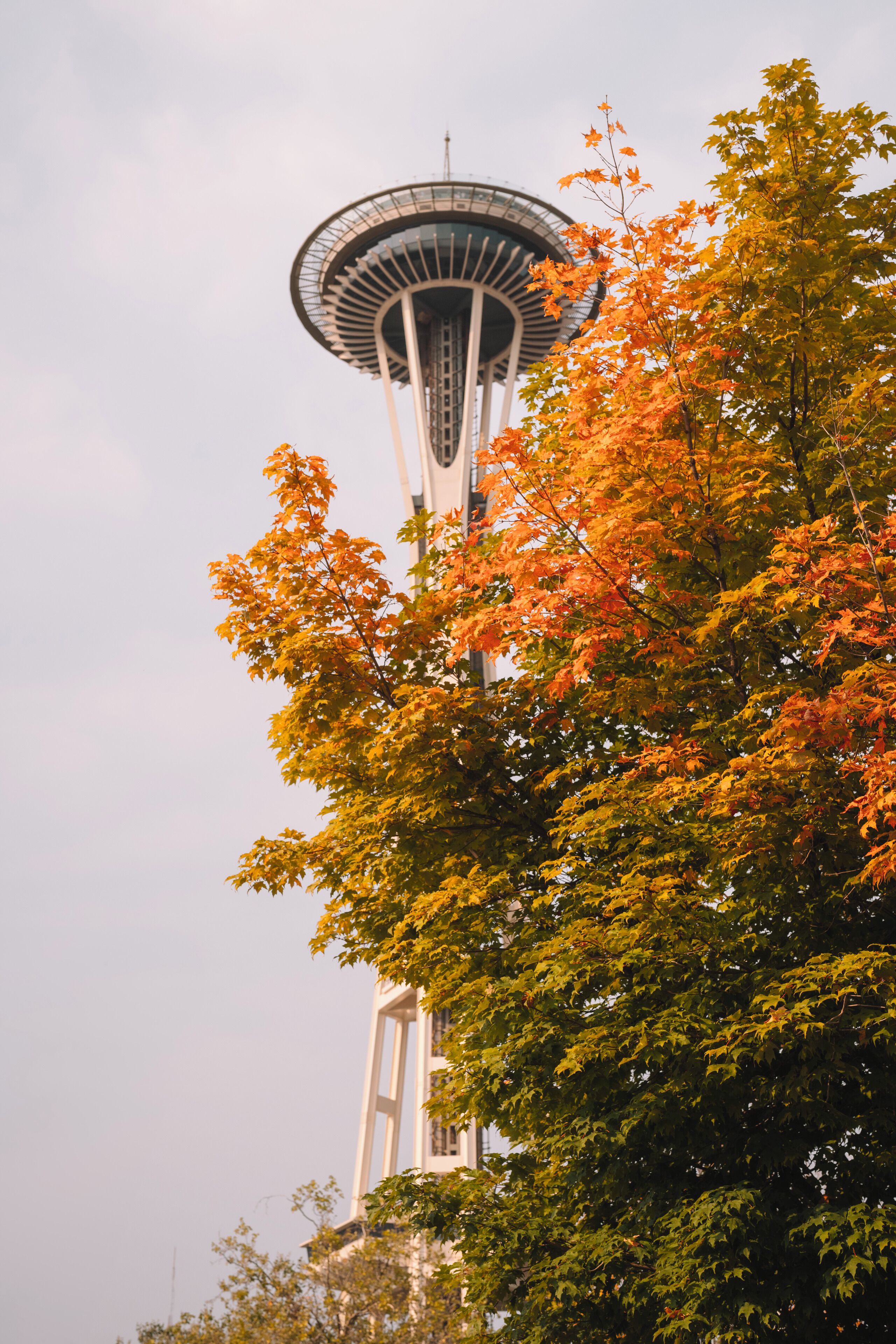 A tower with a circular observation deck, surrounded by trees with autumn leaves.