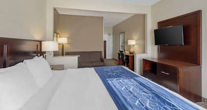 Comfort Suites Normal University area