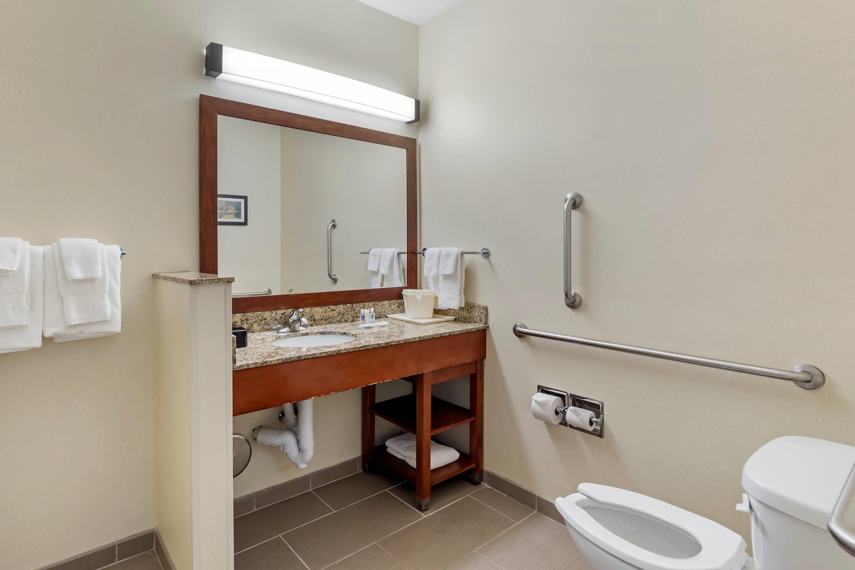 Suite, 1 King Bed with Sofa bed, Accessible, Non Smoking