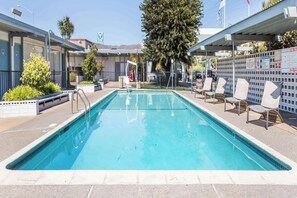 Outdoor pool, sun loungers