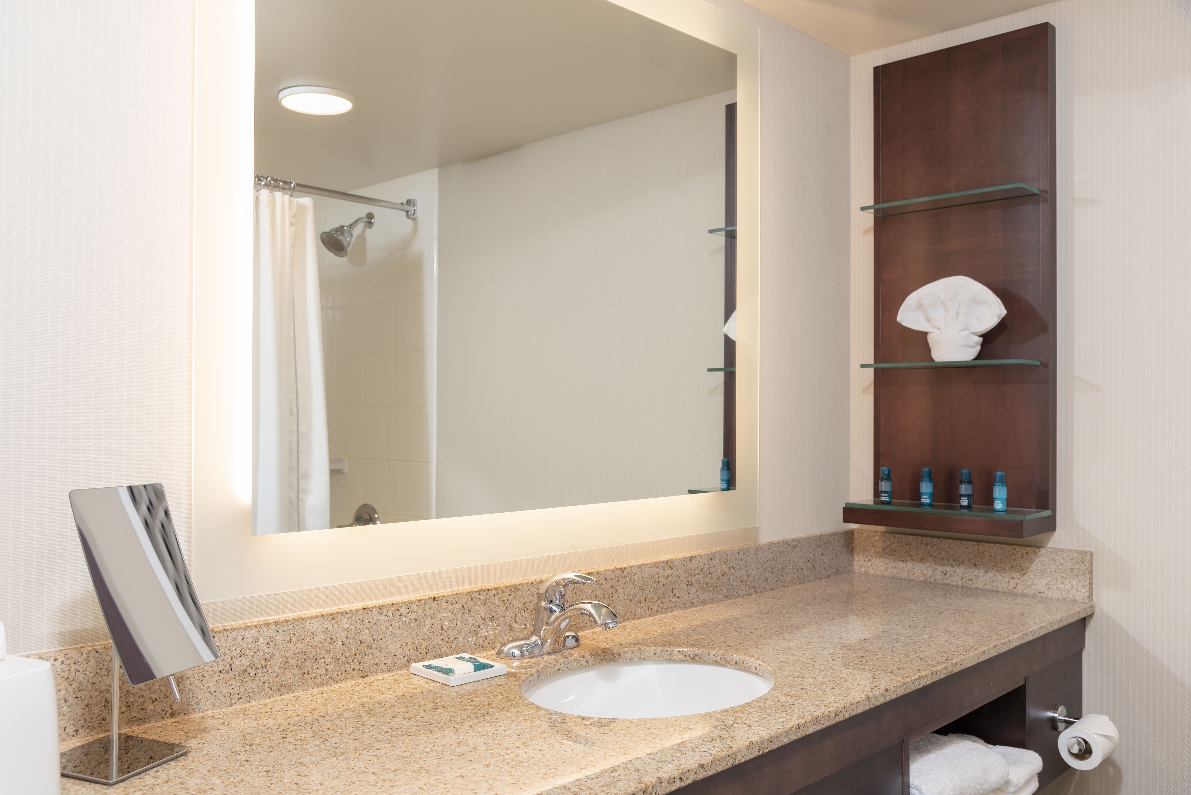 combined shower/bathtub, free toiletries, hair dryer, towels