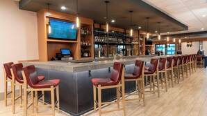 A bar area with a long counter, multiple bar stools, and a television screen. - Delta Hotels by Marriott Kalamazoo Conference Center (Kalamazoo)