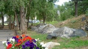 A parking lot with a flower bed containing red, purple, and white flowers.