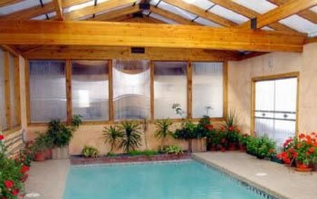 An indoor swimming pool with wooden beams, large windows, and potted plants.