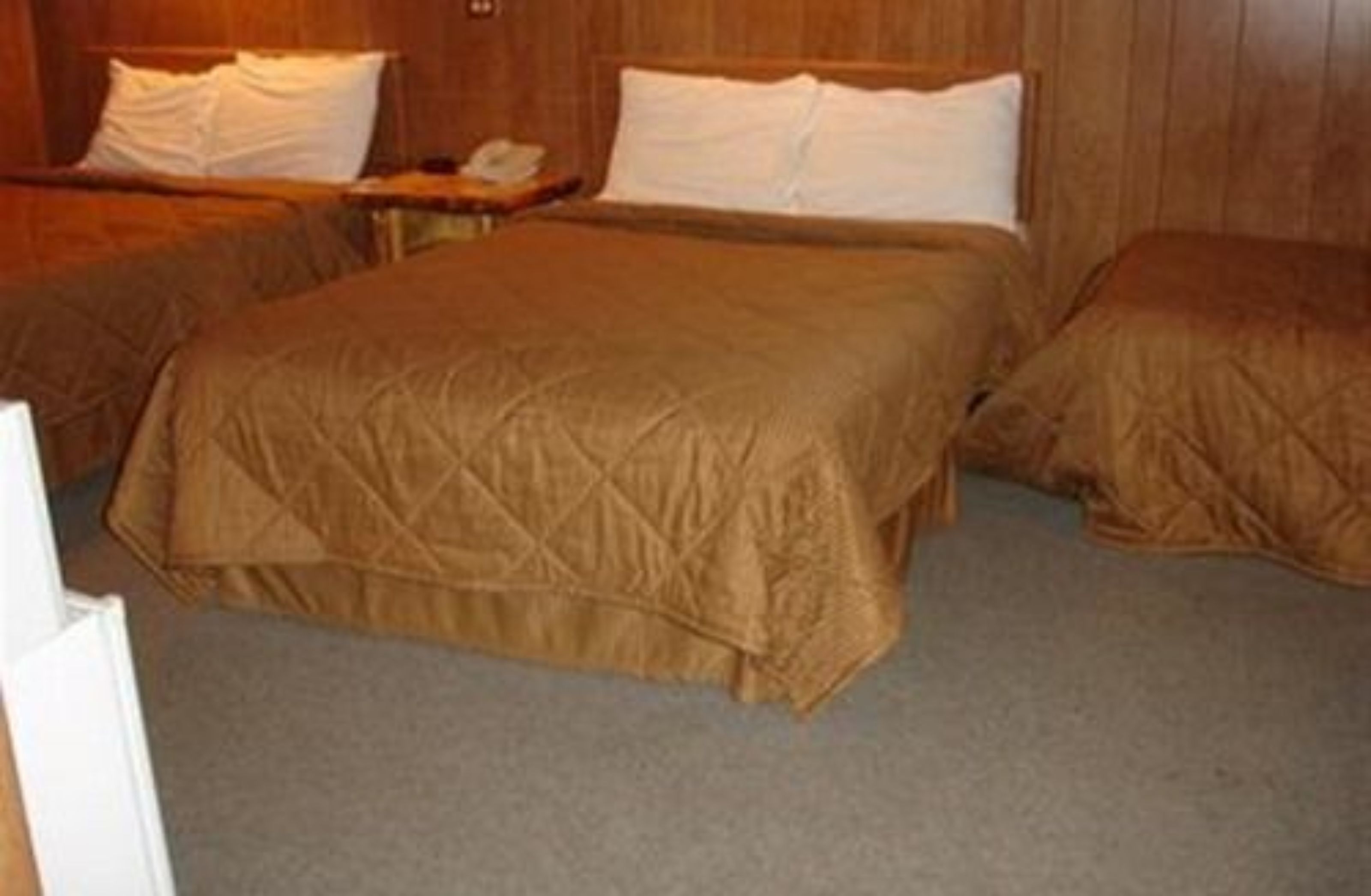 A hotel room with two beds, each with a brown bedspread and white pillows.