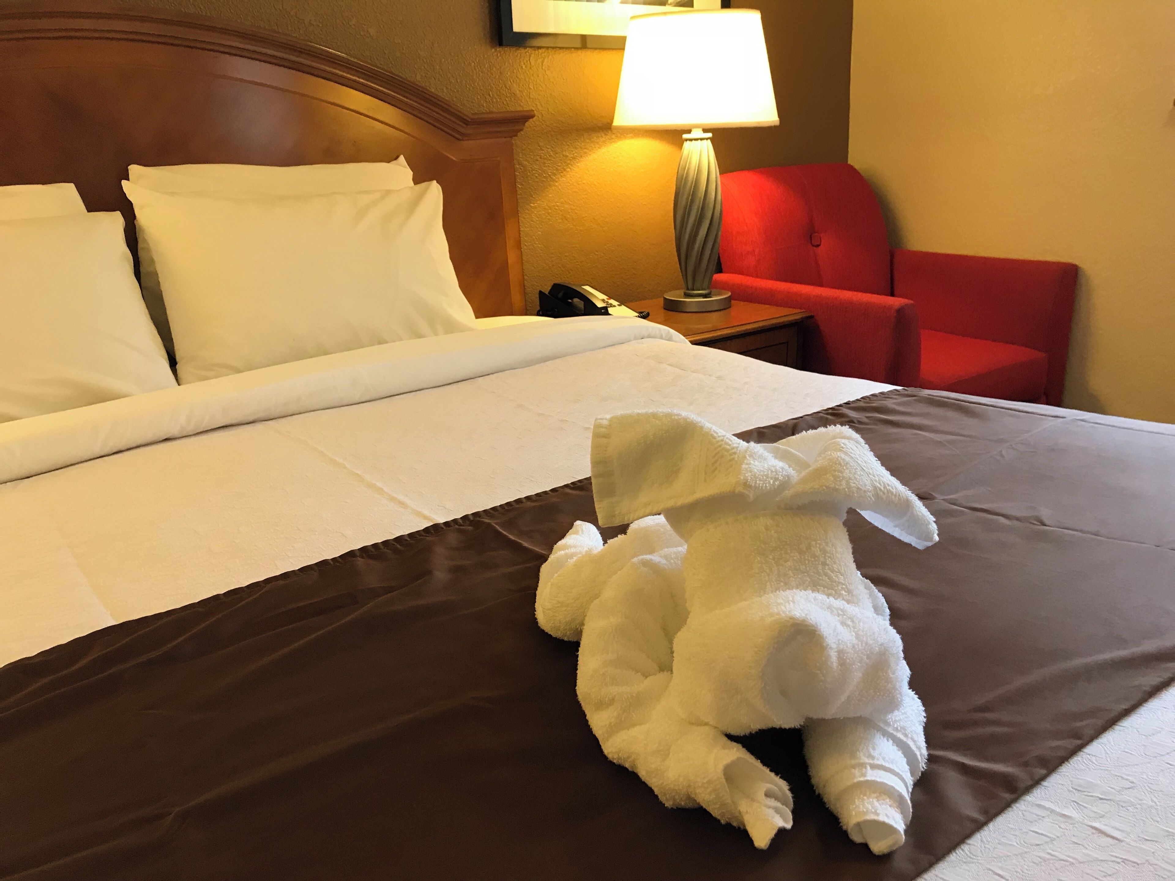 desk, blackout curtains, iron/ironing board, free cots/infant beds