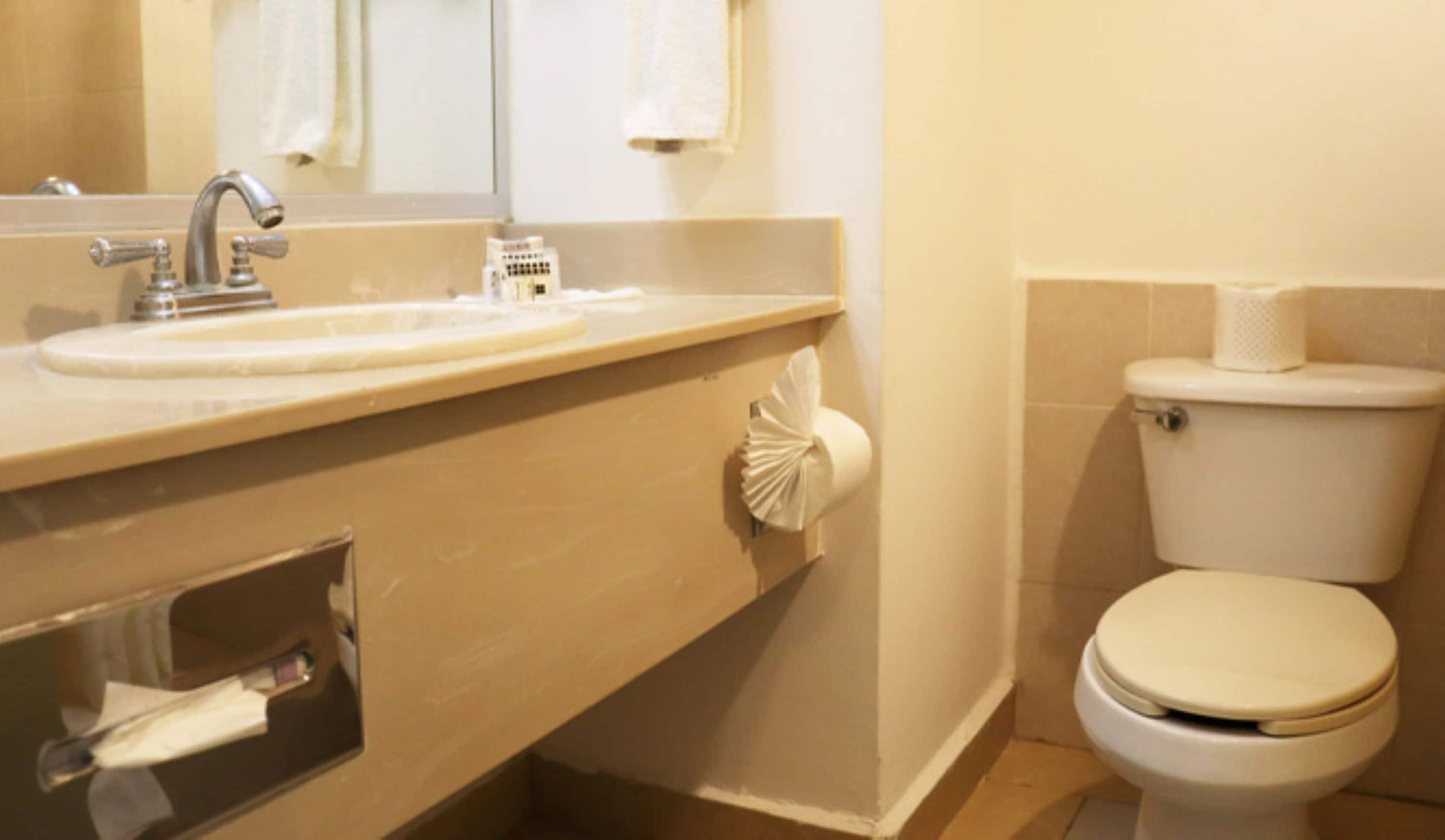 Foto - Araiza Palmira Hotel y Centro de Convenciones