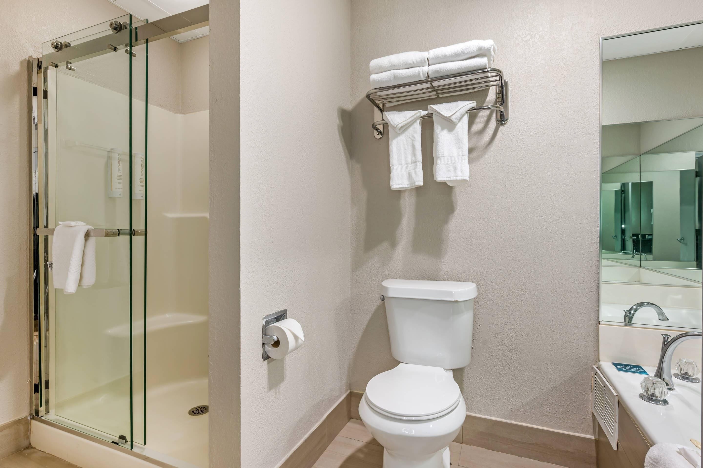 A bathroom with a glass shower enclosure, a toilet, a towel rack with folded towels, and a sink with a mirror.