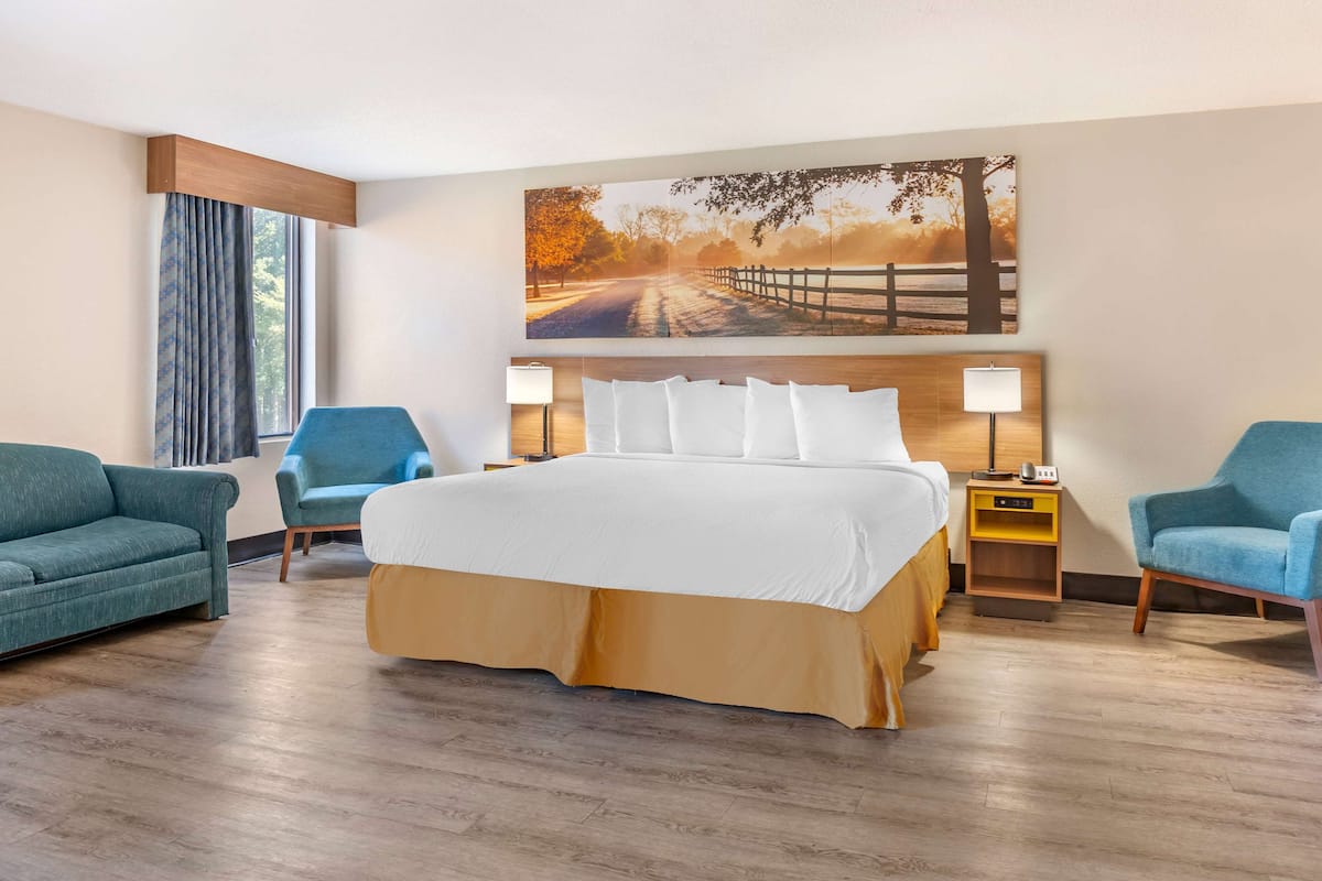 Standard Room, 1 King Bed, Non Smoking | Blackout curtains, iron/ironing board, free cots/infant beds