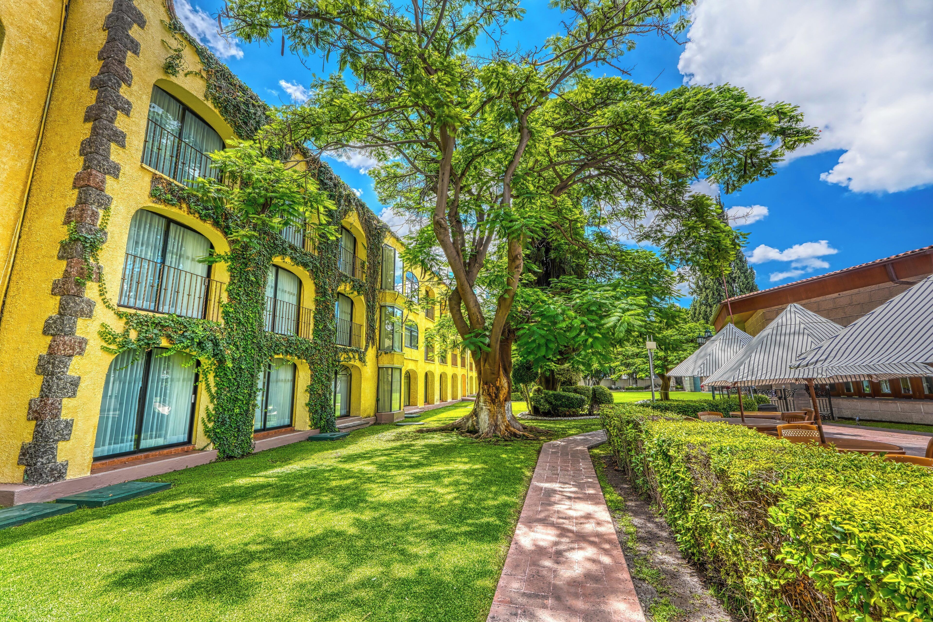 A yellow building with arched windows and a tree-lined pathway.
