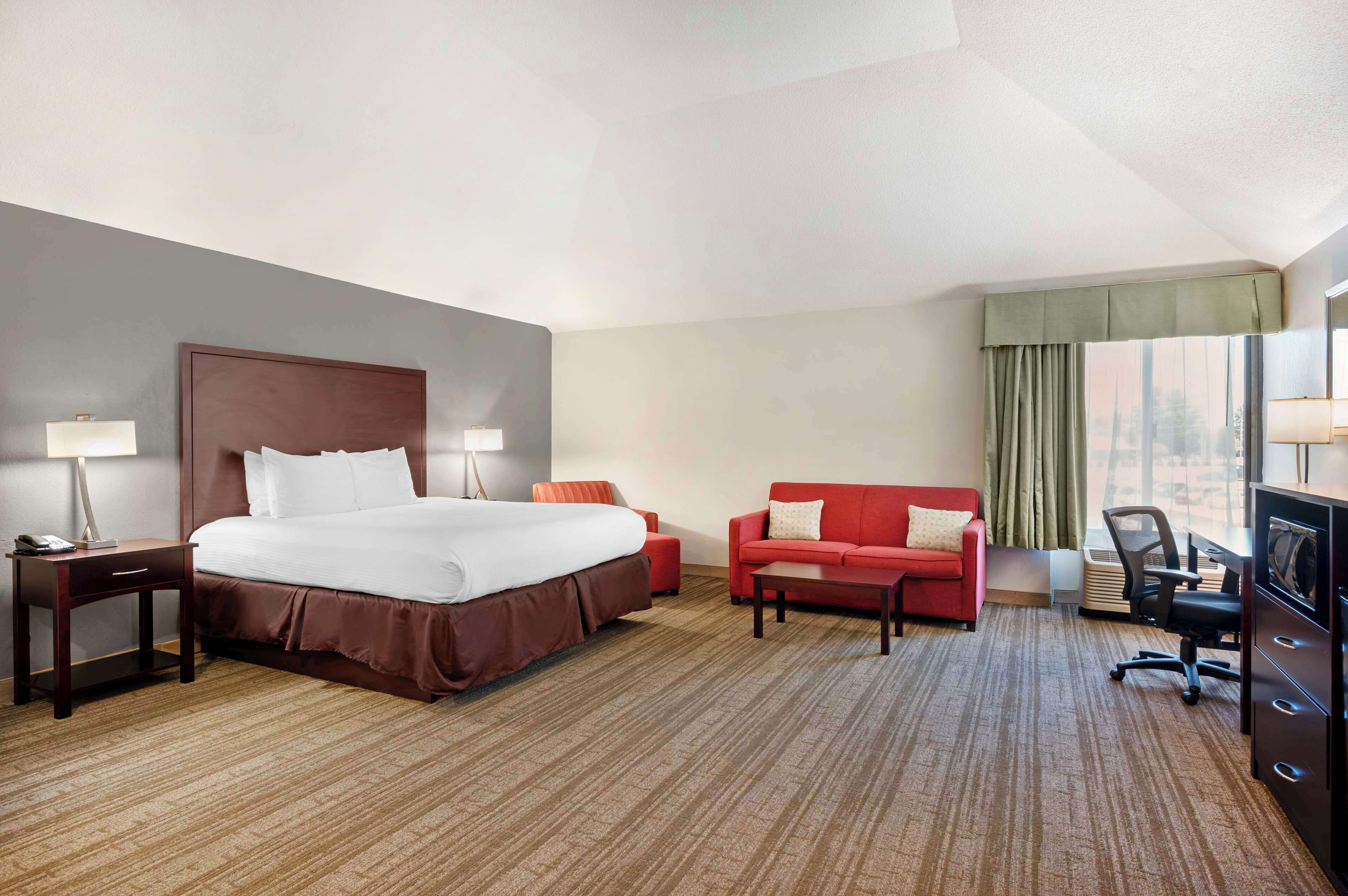 Standard Room, 1 King Bed, Non Smoking, Refrigerator & Microwave (Larger Room;with Sofabed)