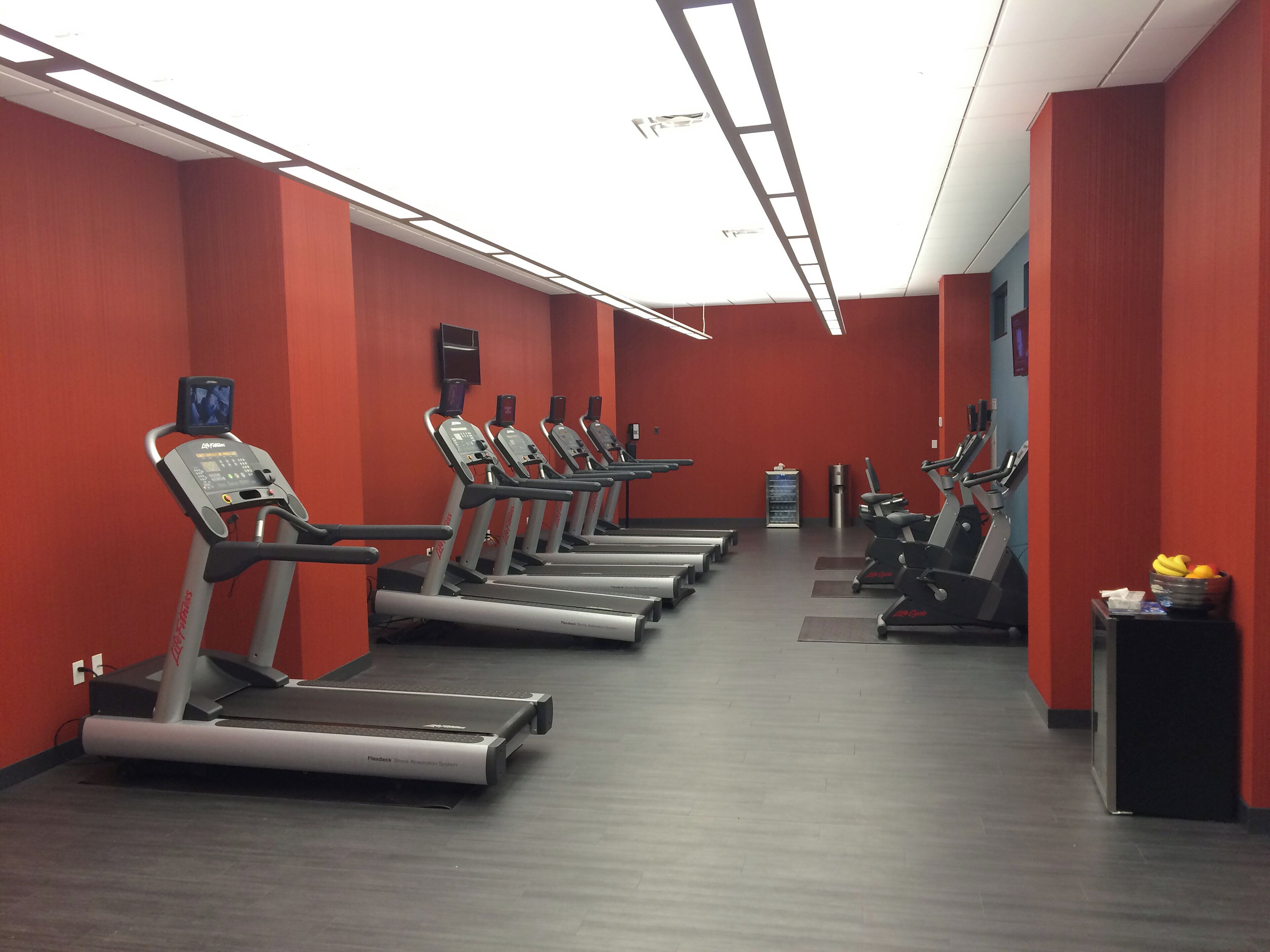 A gym with treadmills aligned against red walls, a black bench, and a trash can.