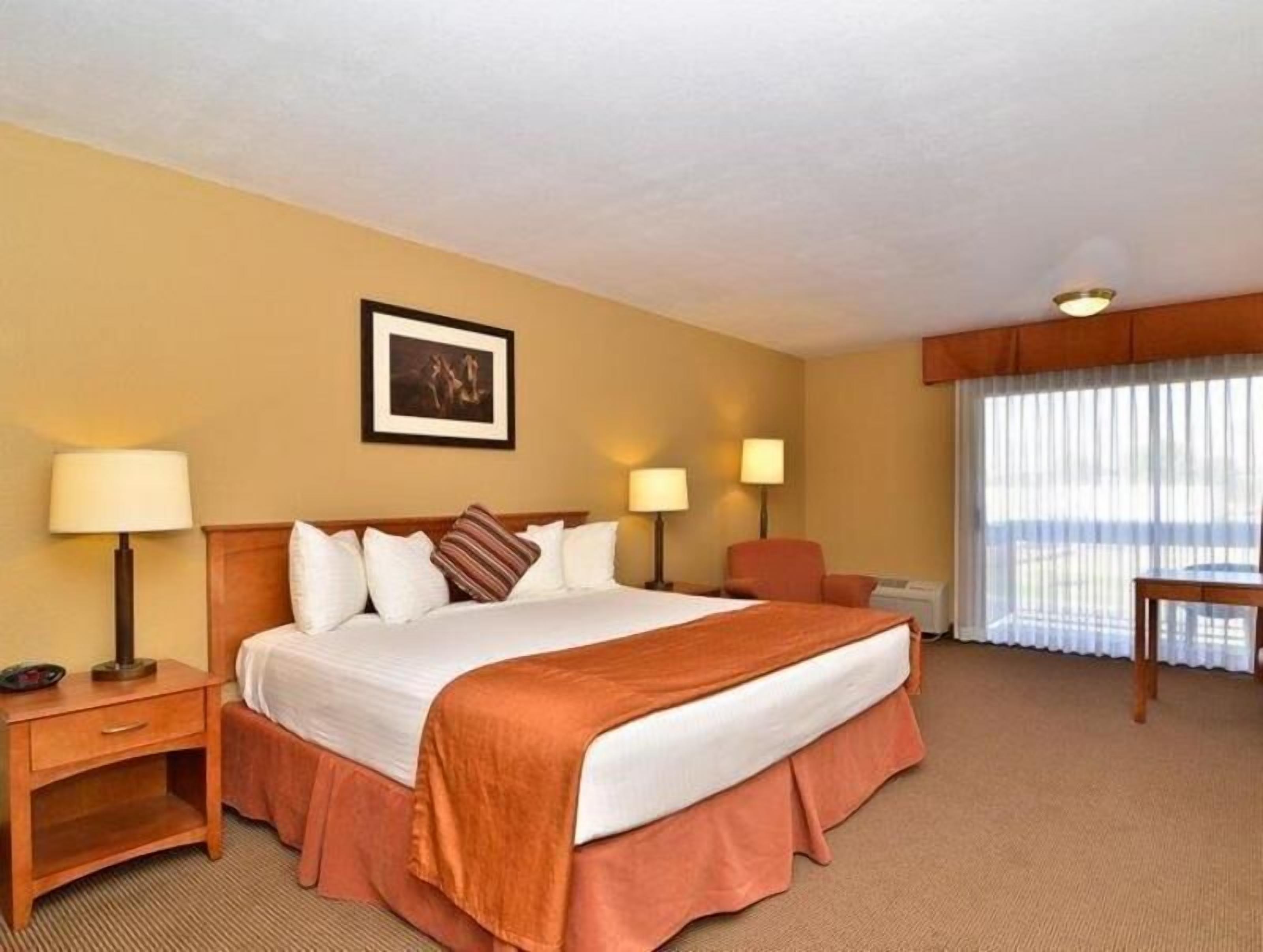 Hypo-allergenic bedding, desk, blackout curtains, iron/ironing board